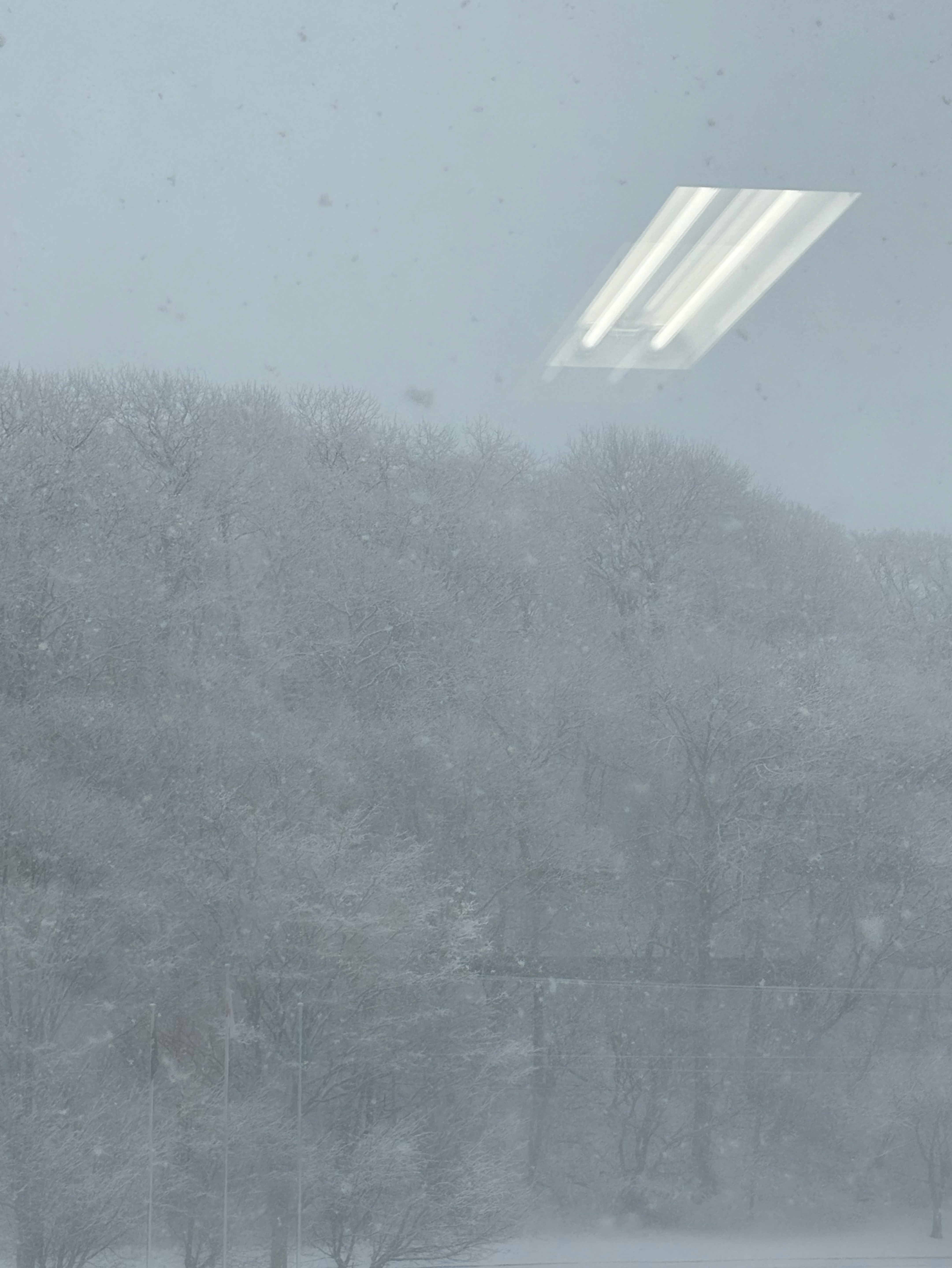 圧倒的ショタボの歌枠