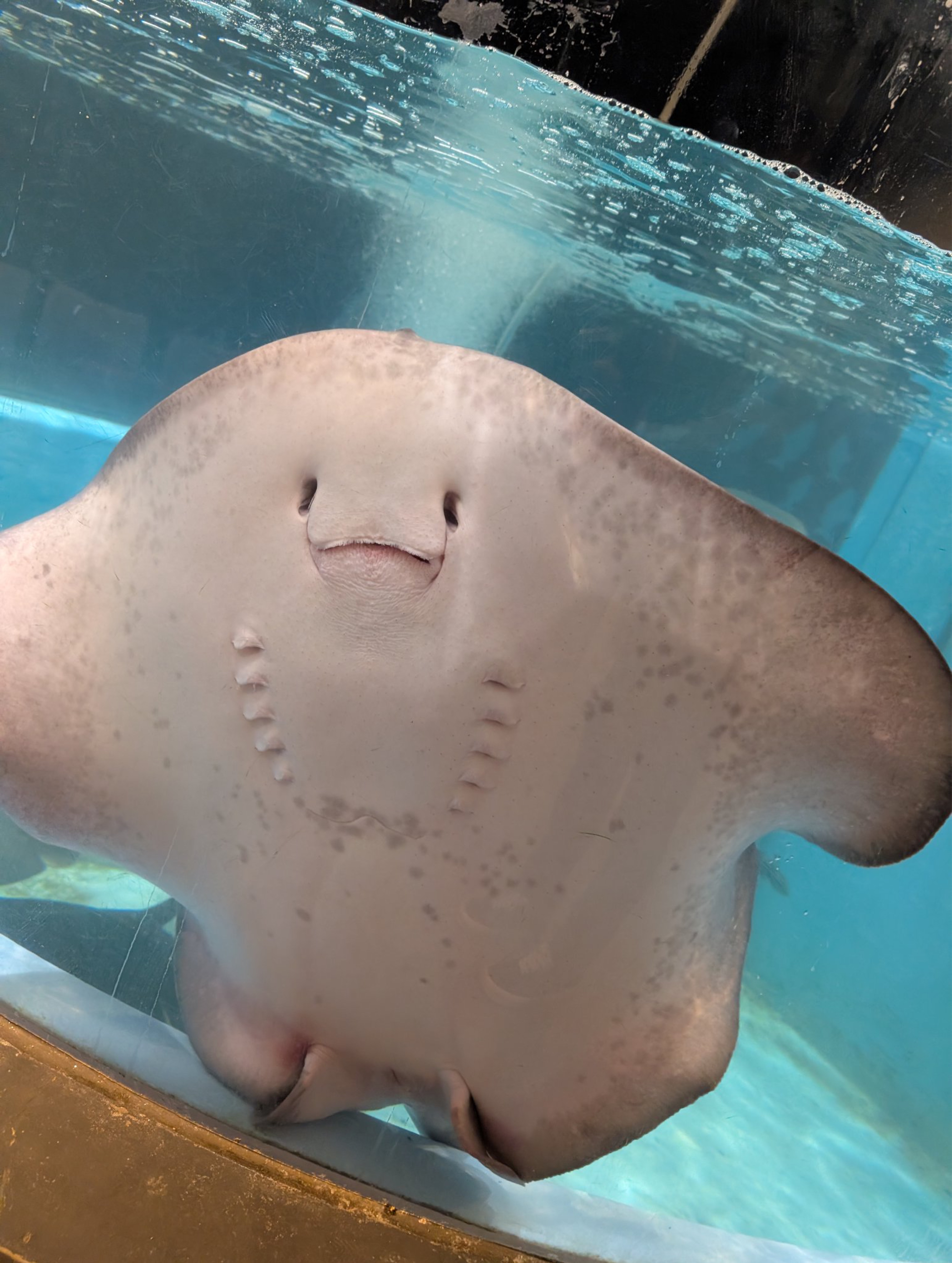 中低音/介護福祉士 元気とまったり