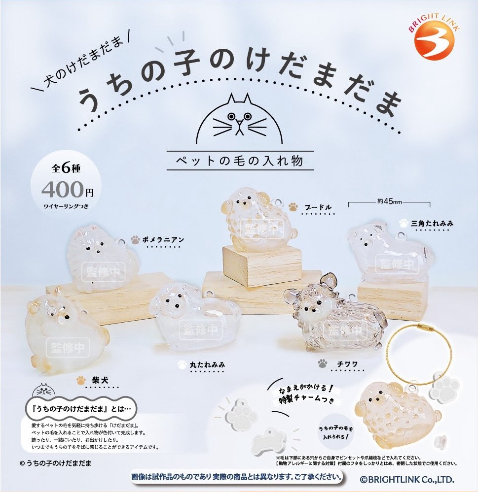 お 寝 坊 さ ん 𓈒𓏸