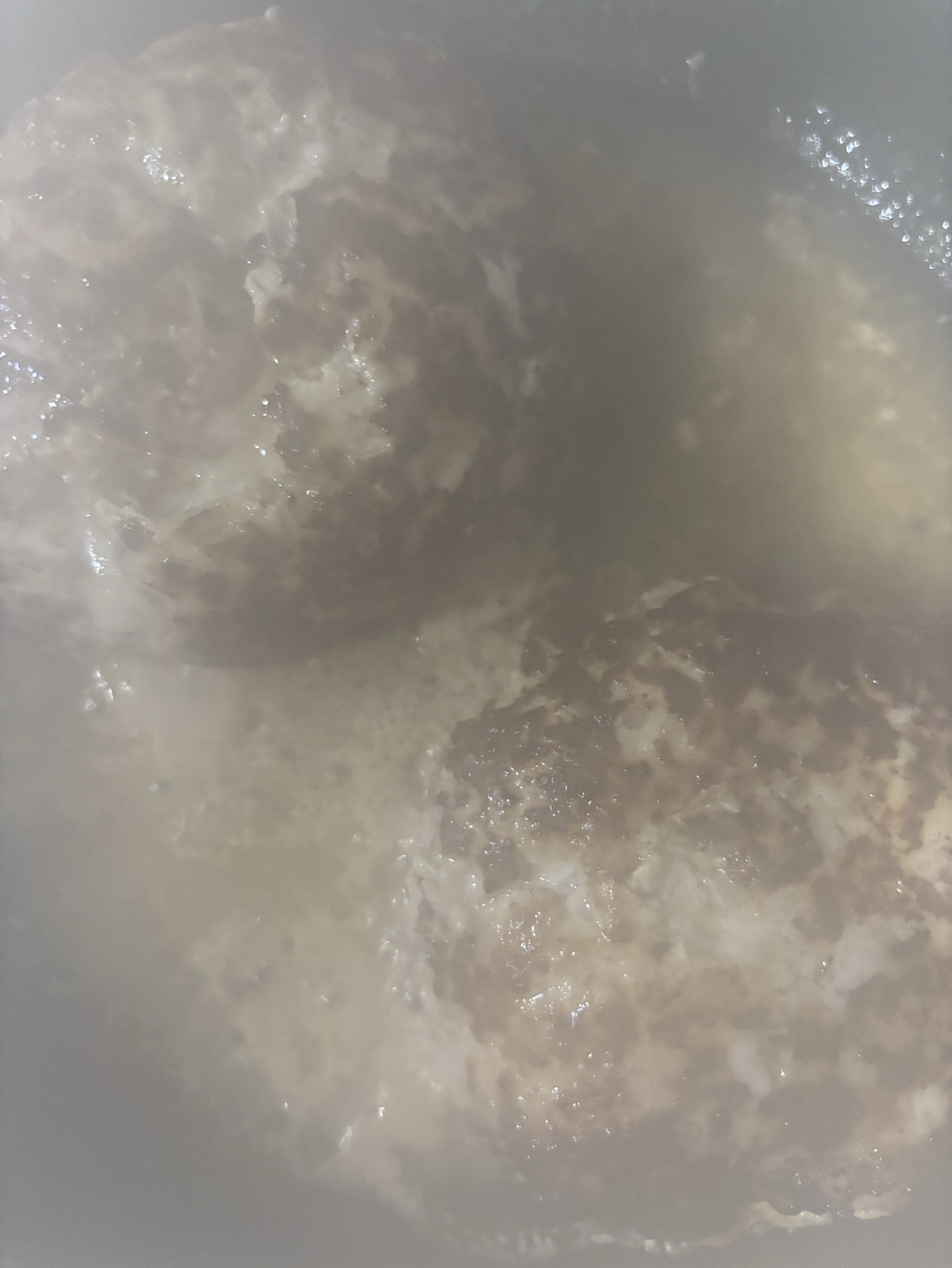 おはよんよ☀️トーリス残り11人!