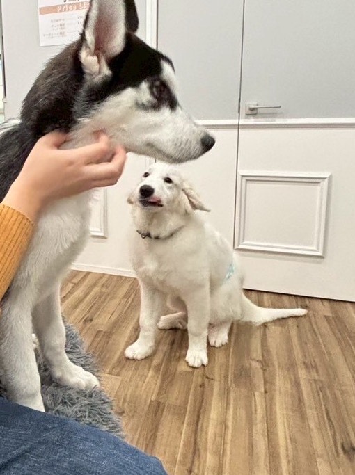 お話しましょそうしましょ