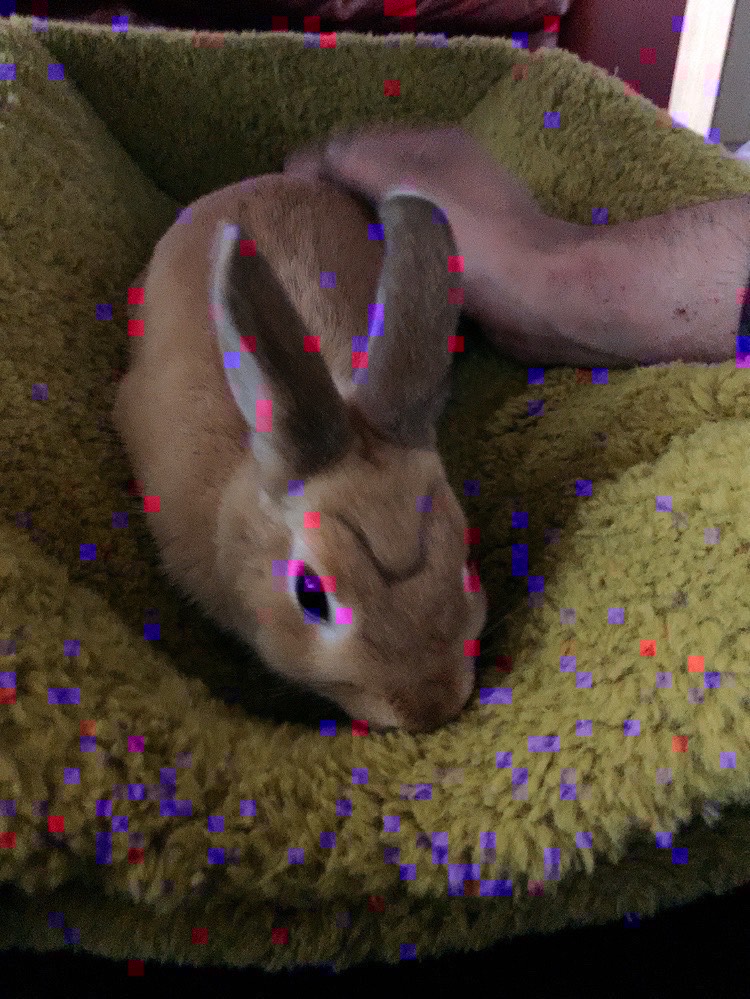 はなそー仕事帰りー