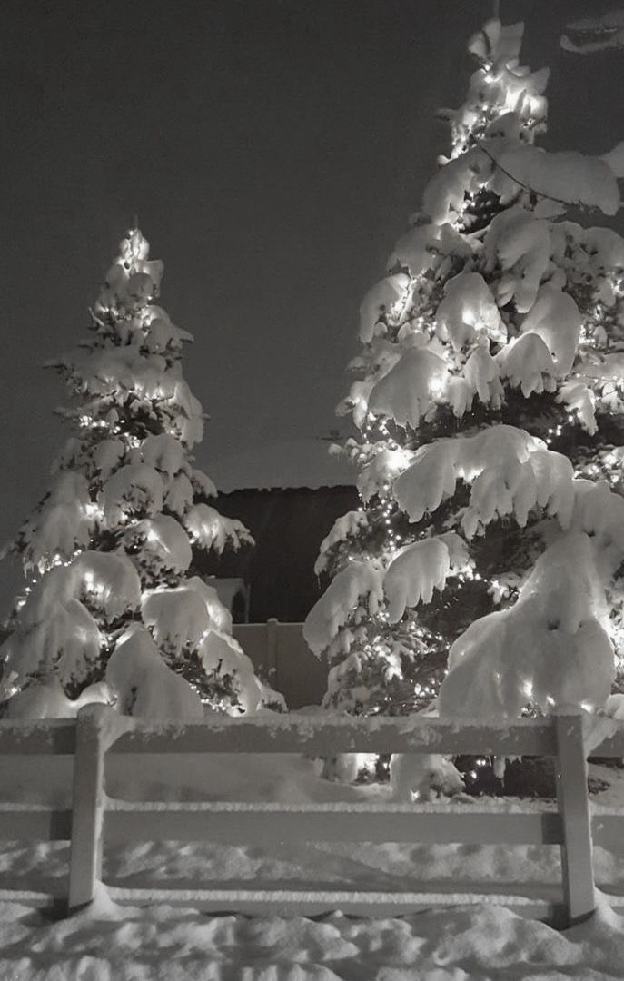 初見さんきてね