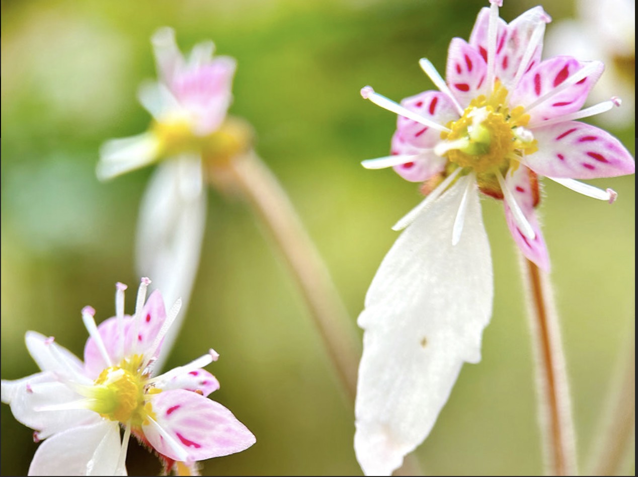 ẗ̤⚓︎ 定時枠