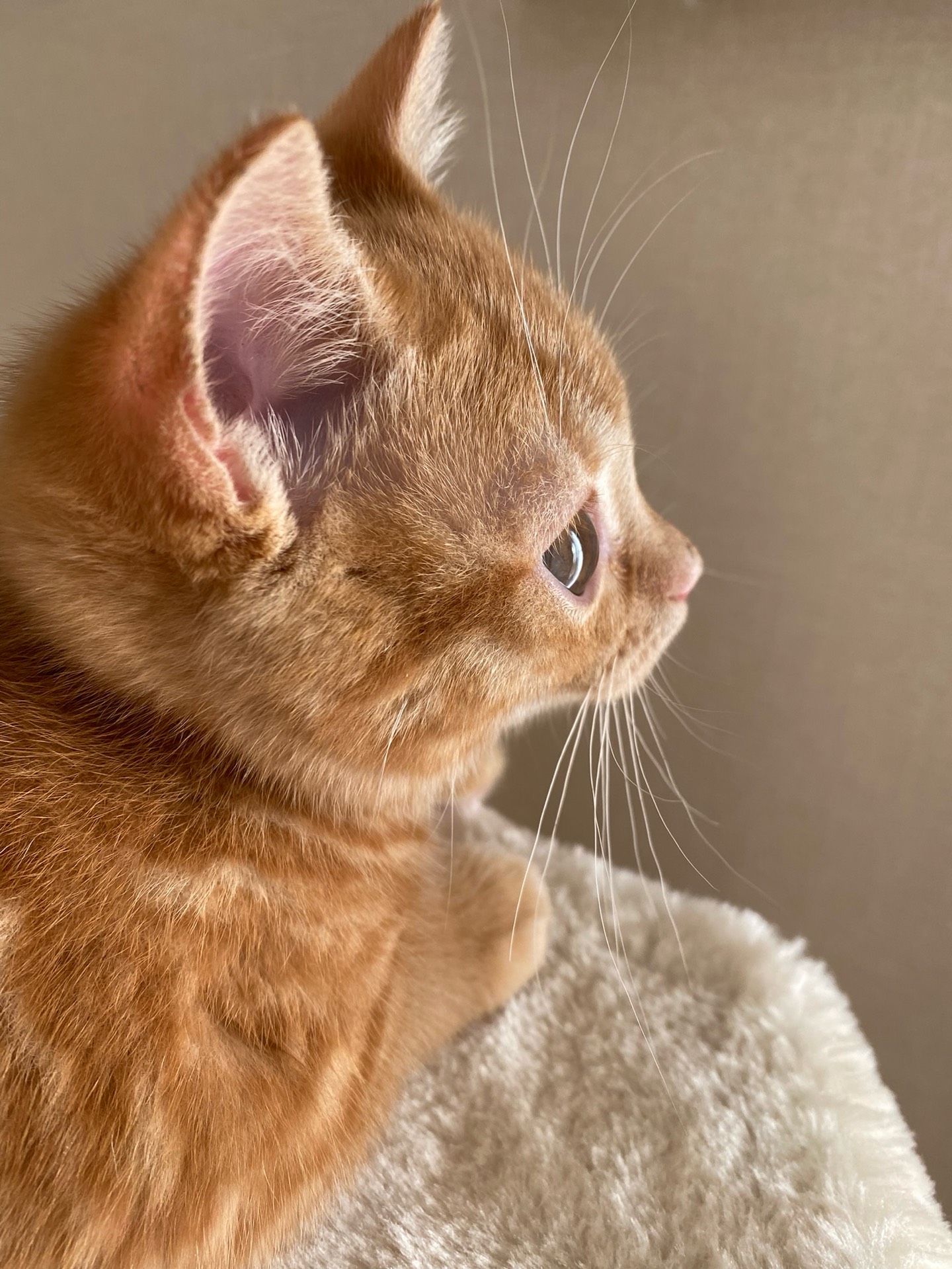 初潜寝◎癒しになれたら🤍💐