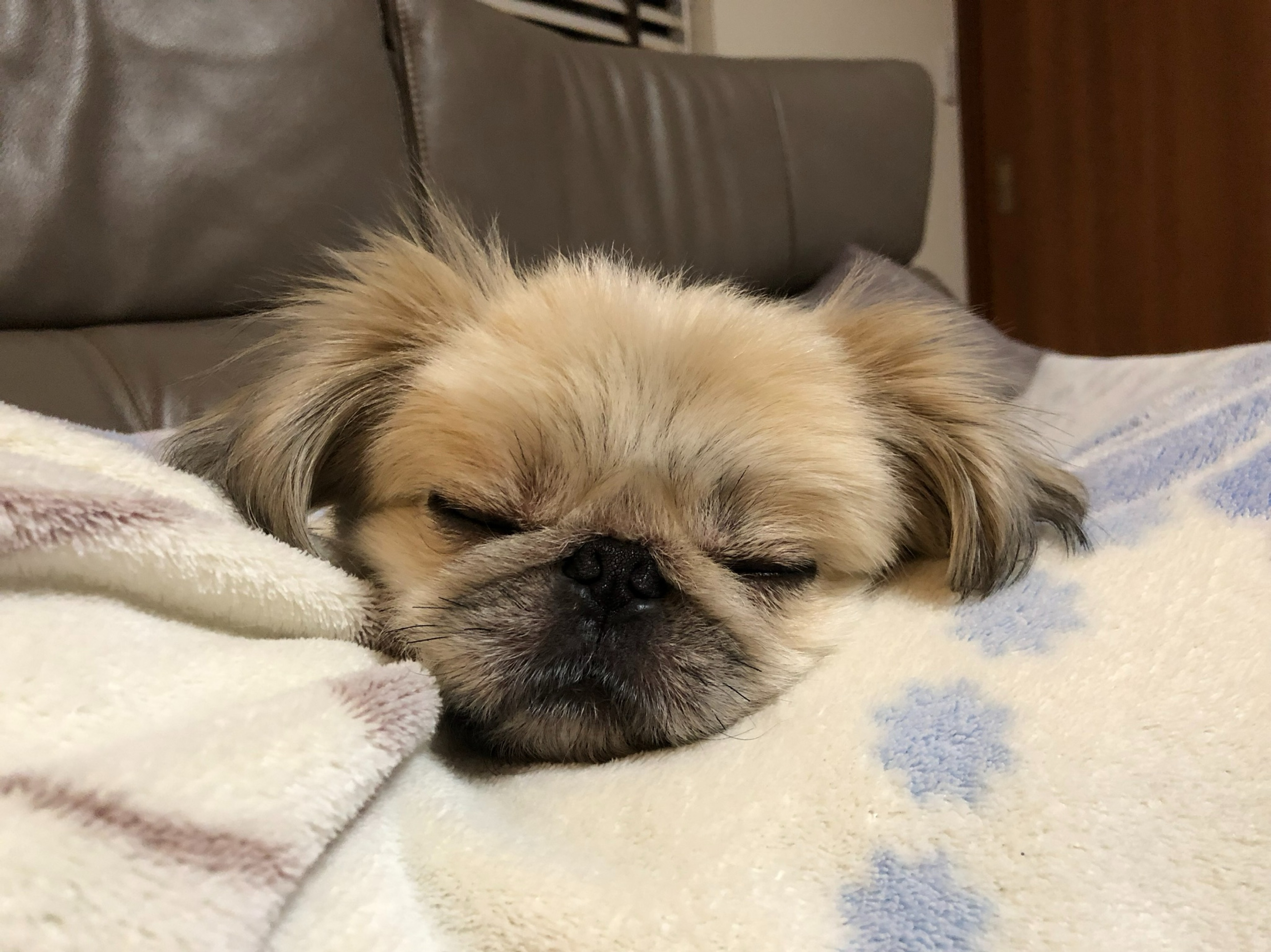 【無機材】ご自由に