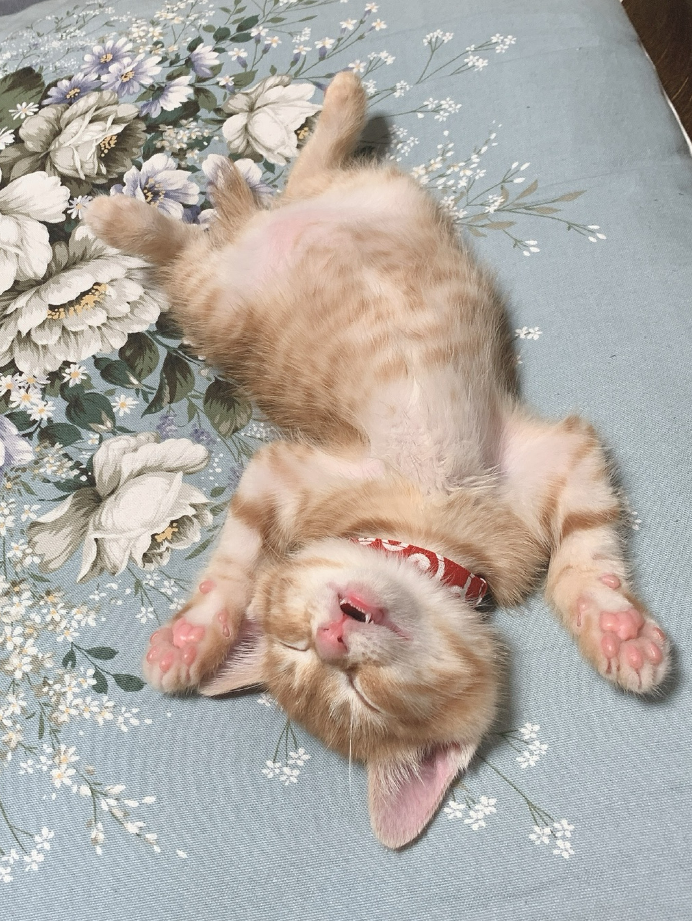 しあわせで素敵な朝に𓂃 𓈒𓏸✧*。