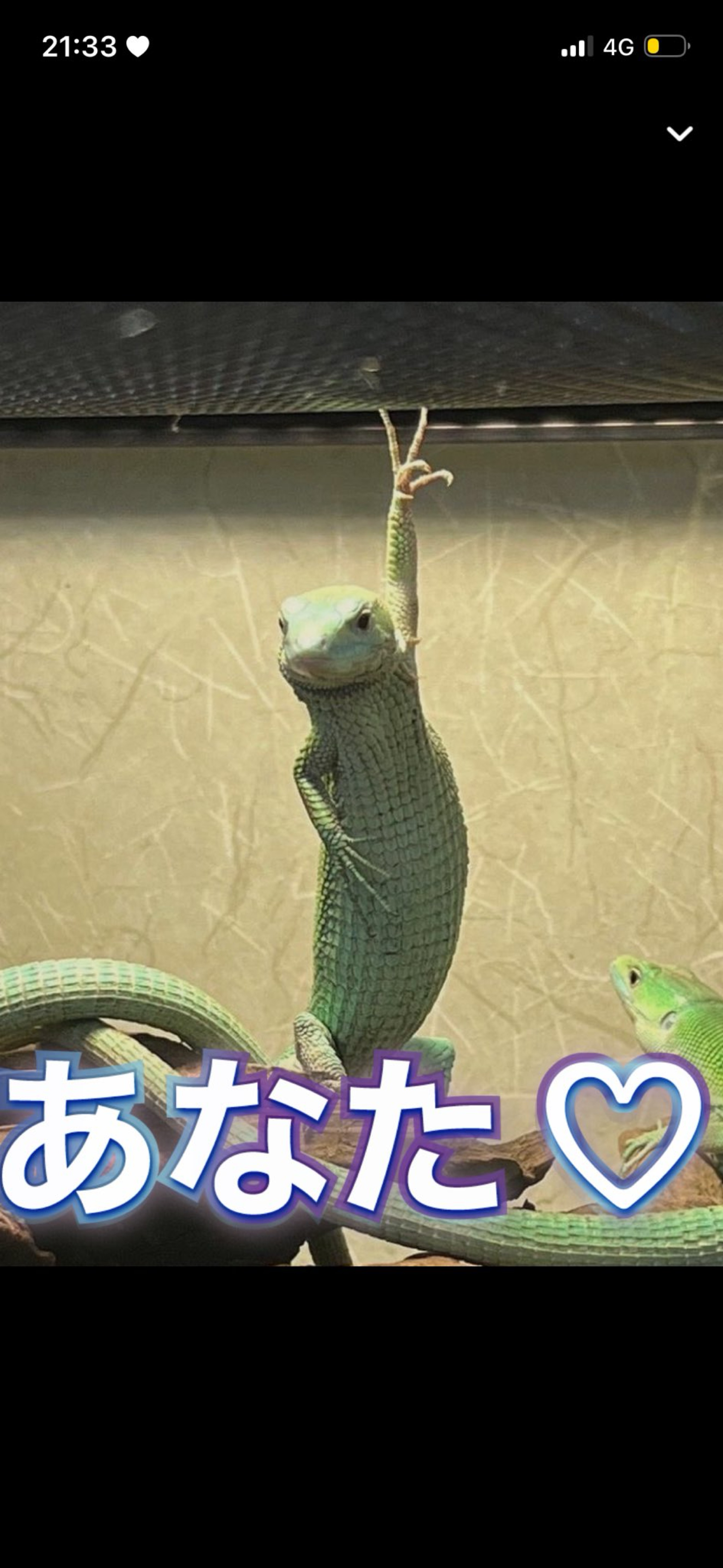 音質★★★★★