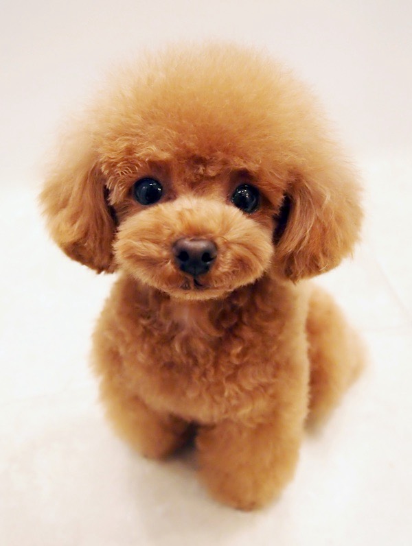 【気持ちは…朝配信&20時誘導枠】