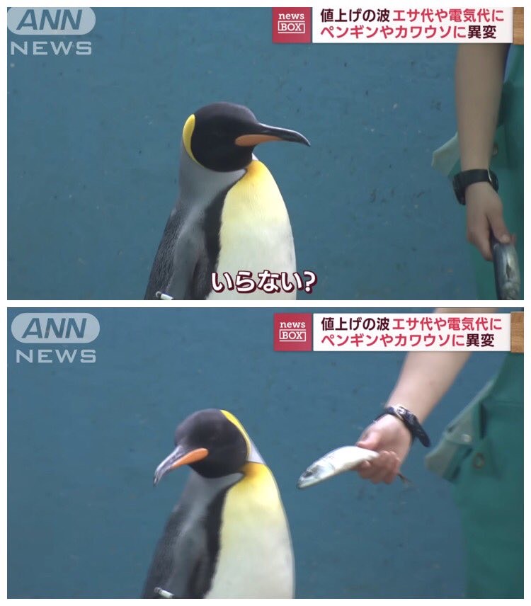 今日も今日とて7分枠ꉂꉂ📣