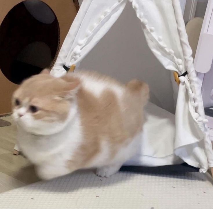 おはよのひとだよ