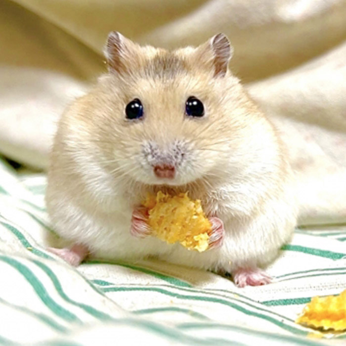 🫐落ち◎たくさん寝ました！┋無機材