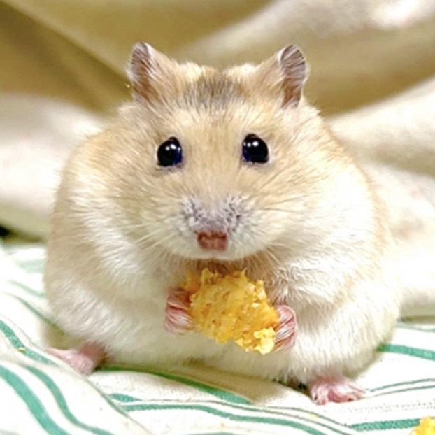 🫐落ち◎たくさん寝ました！┋無機材