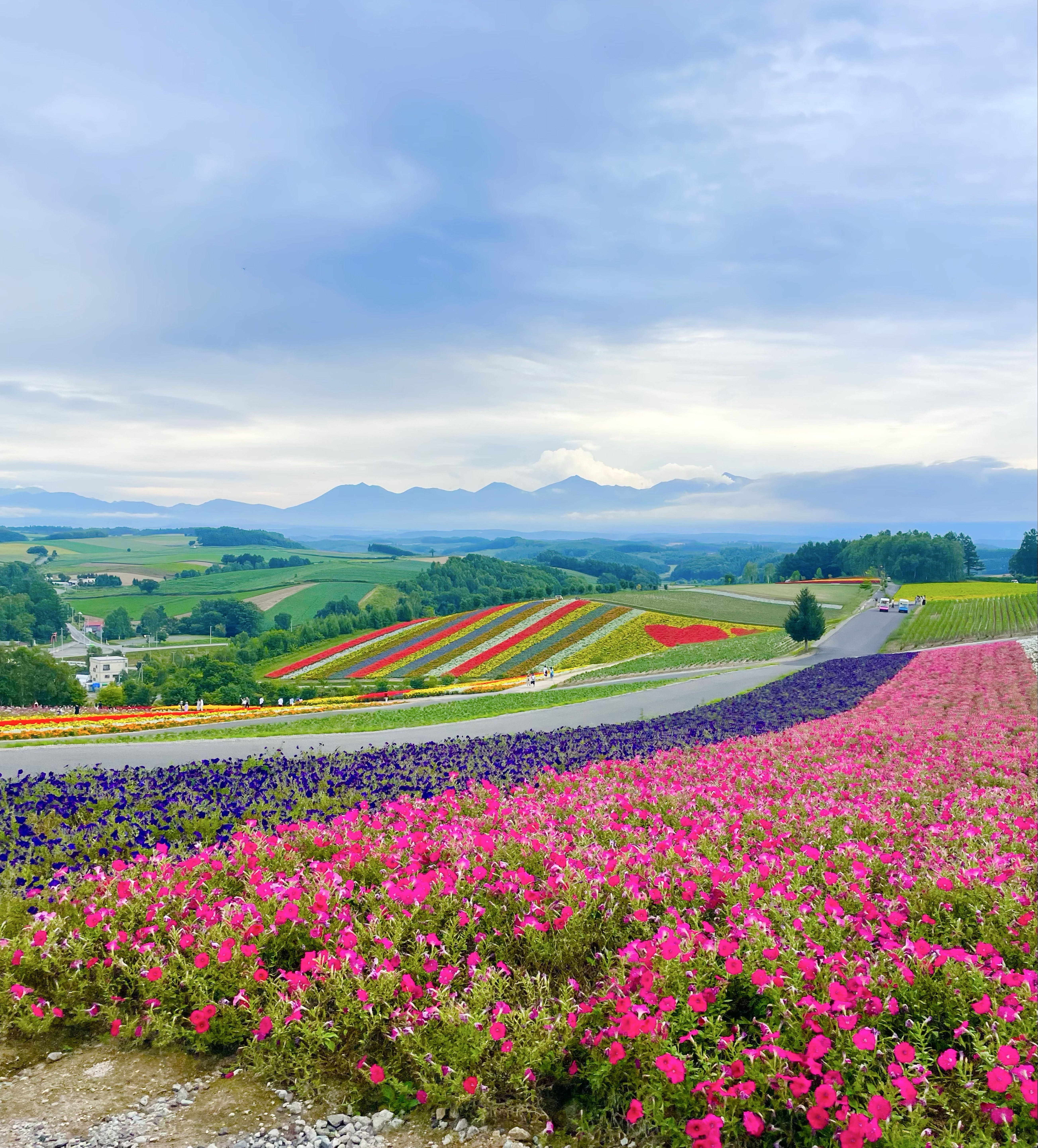 お仕事しながら💻