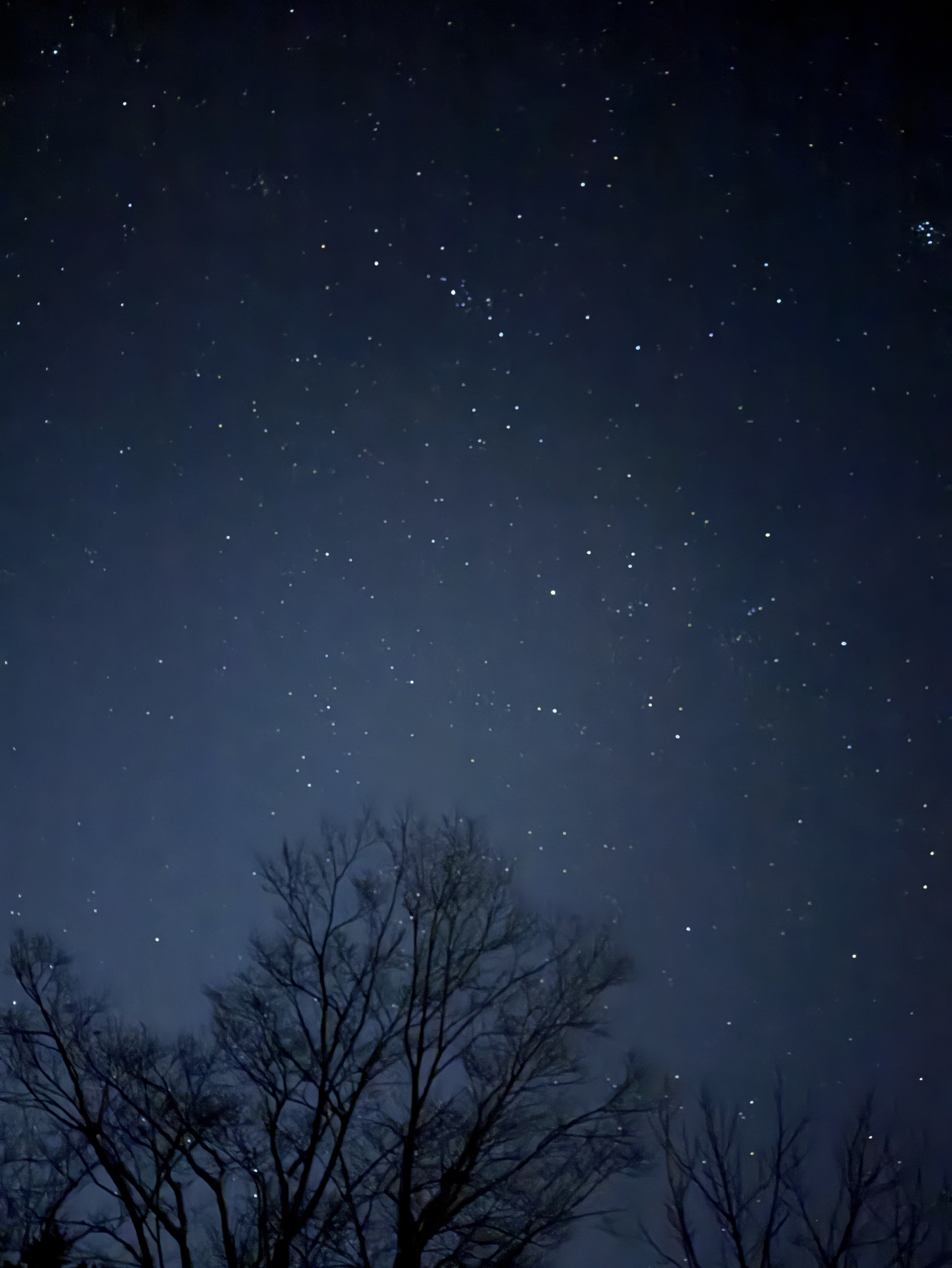 日曜日のタッチダウン