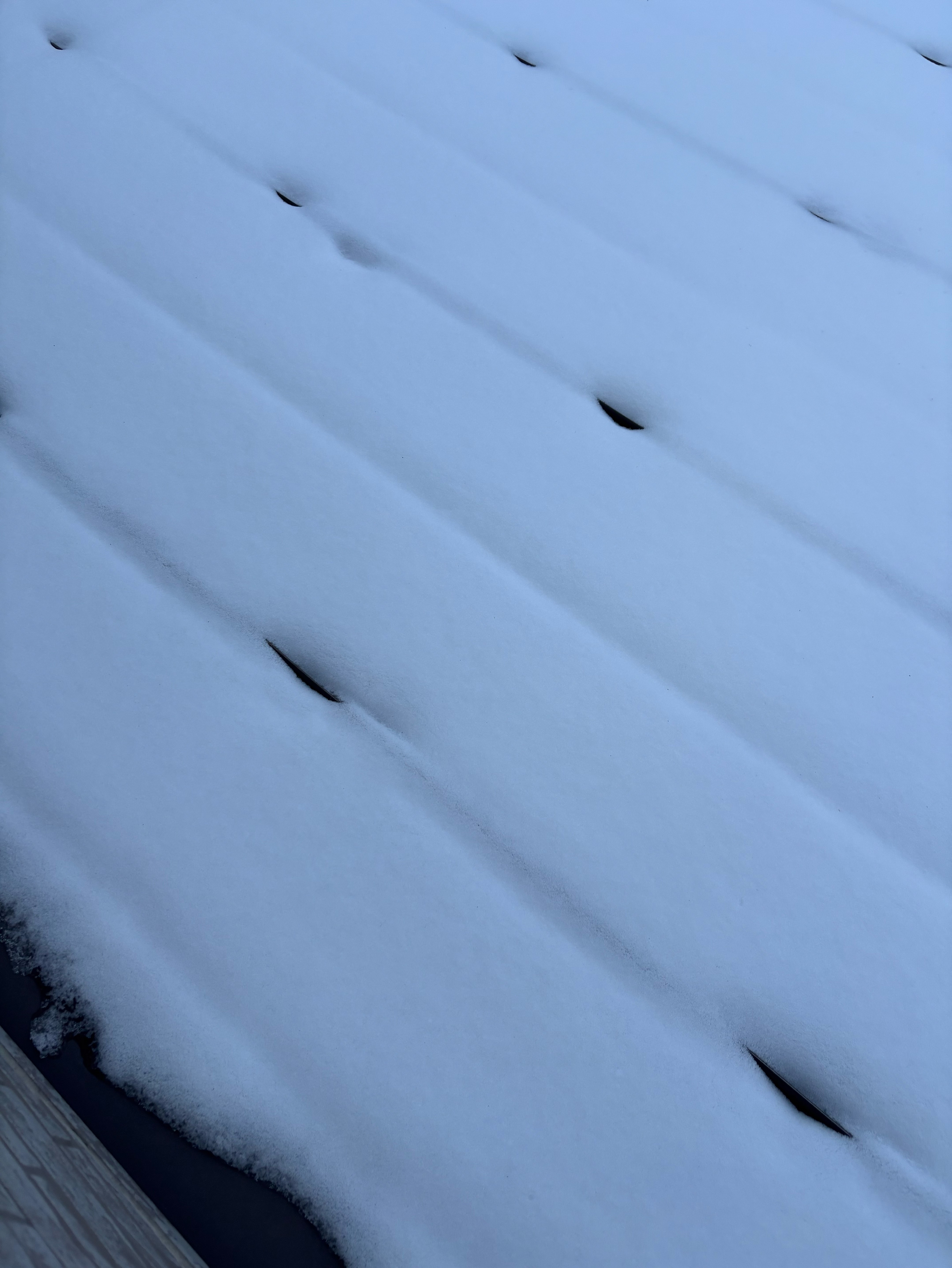 おはたみ(おはようのみなさん)