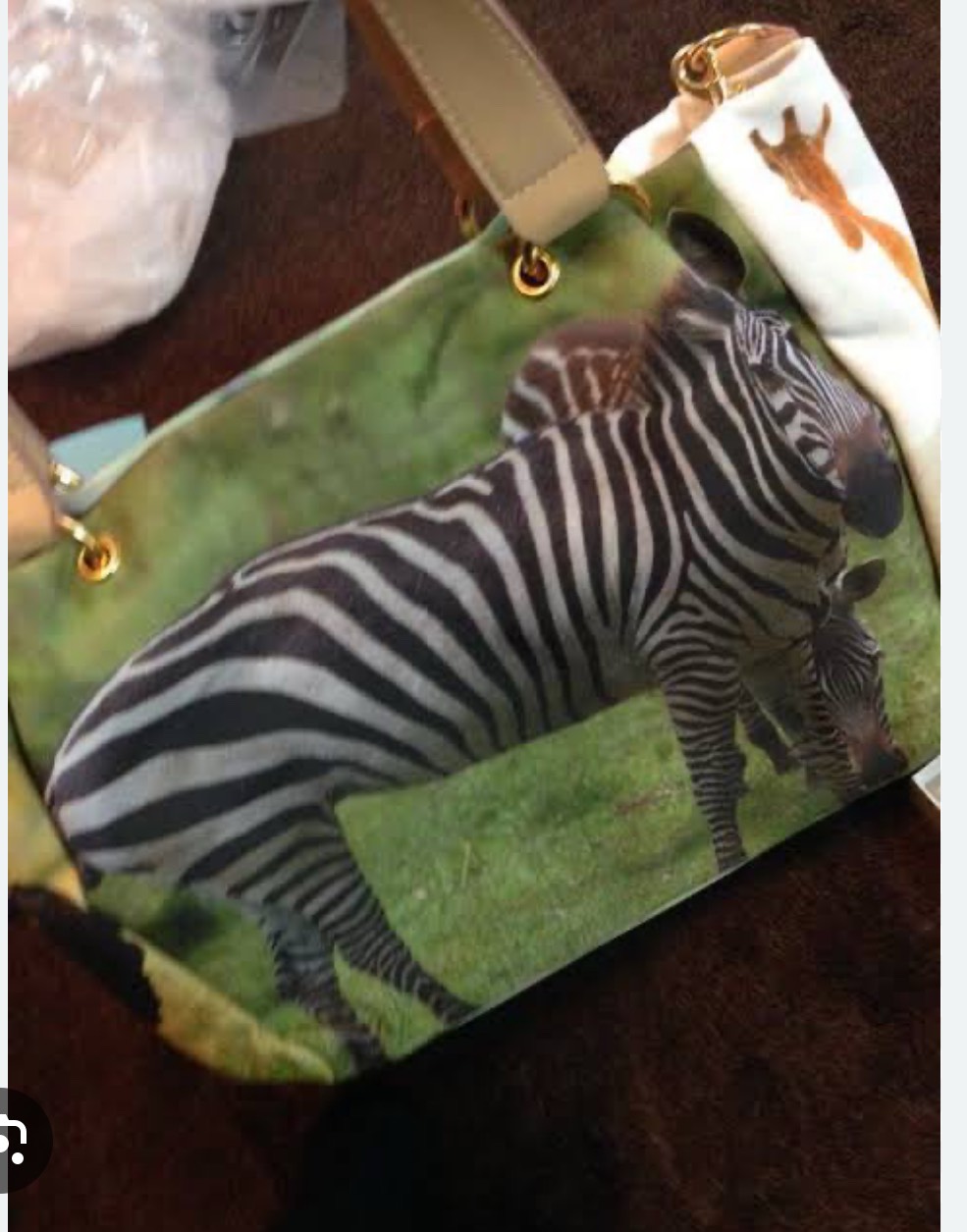 親戚のあつまり🐥⸒⸒