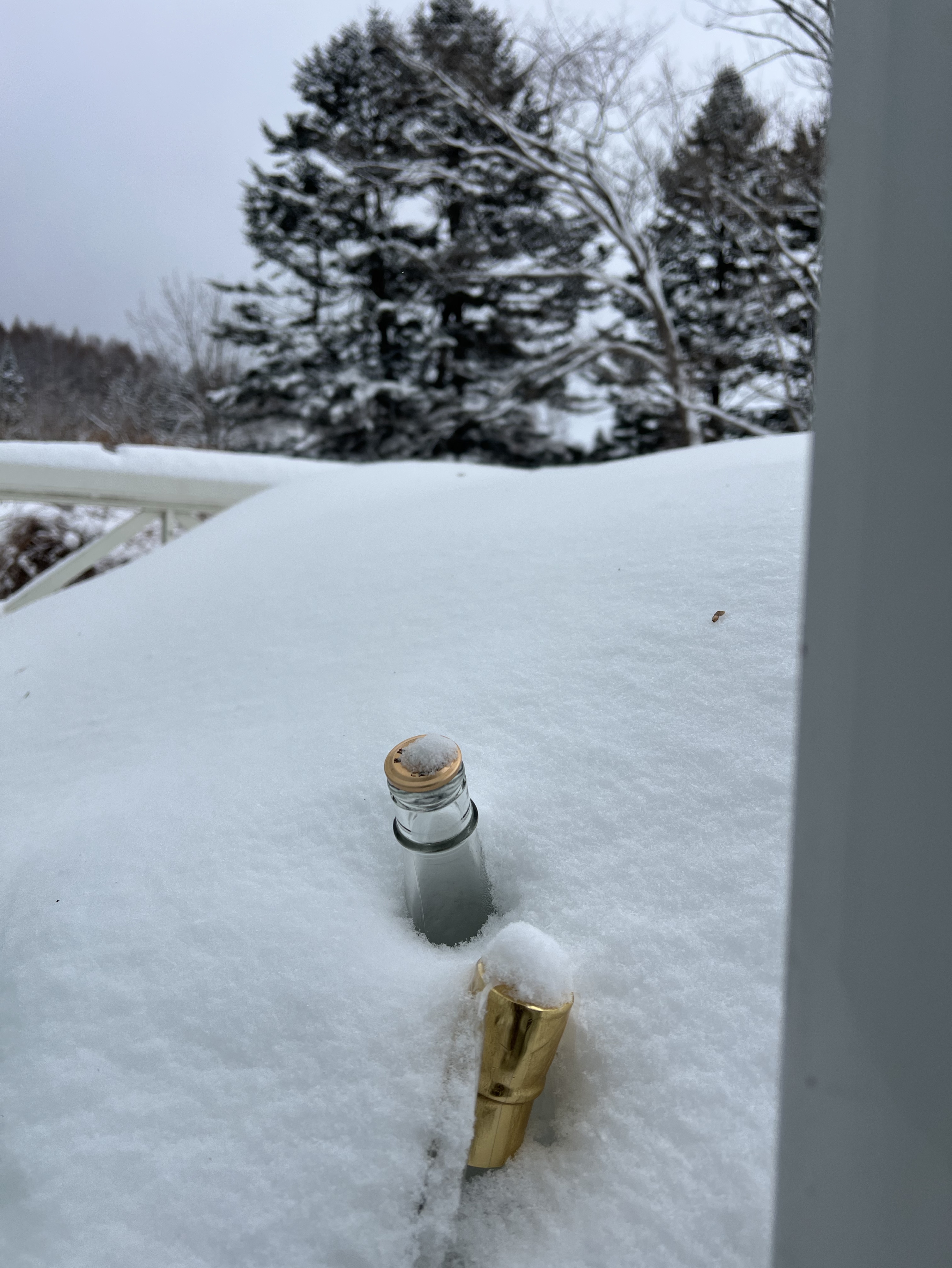 日曜日のタッチダウン