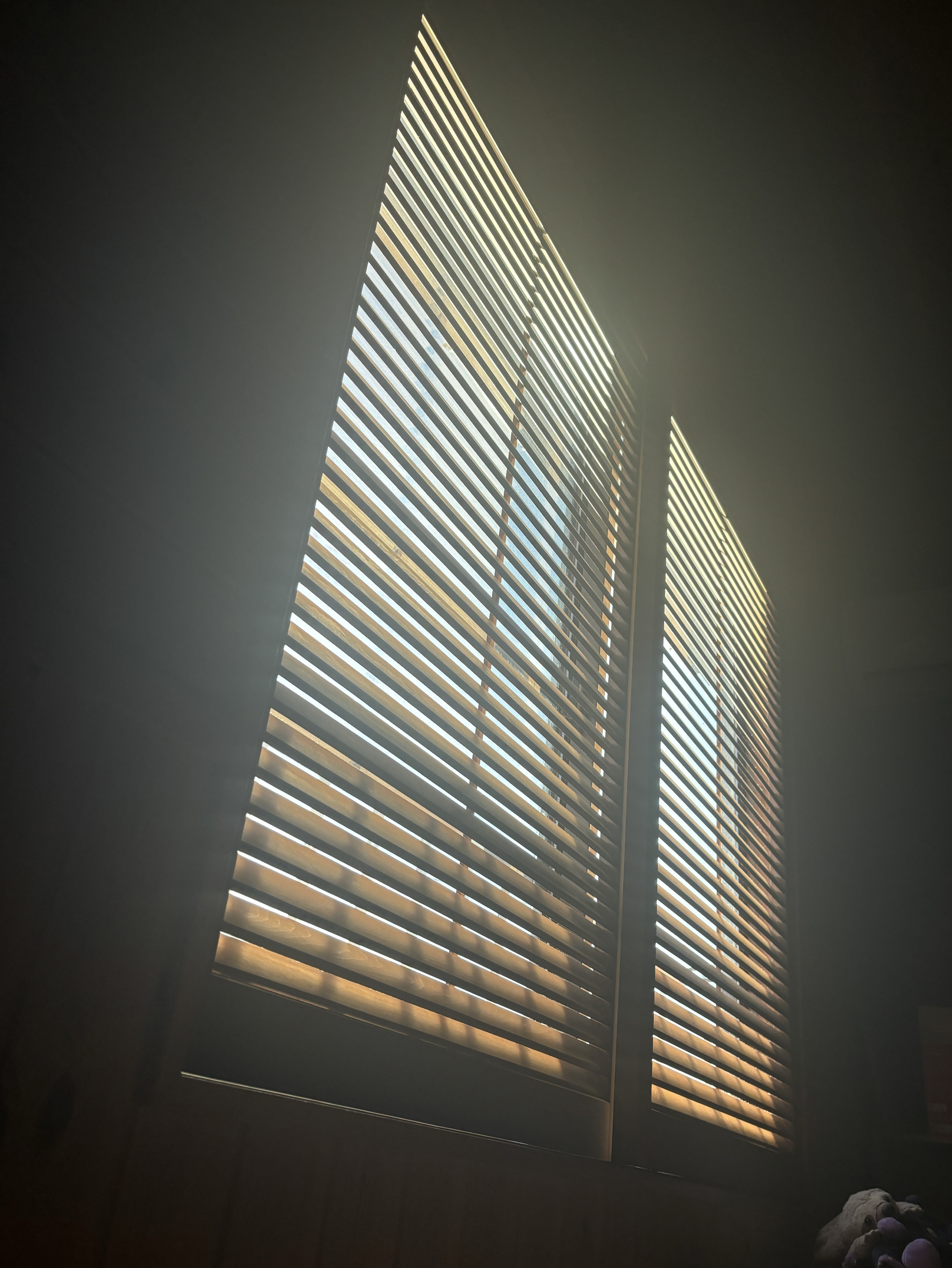 初見◎まったりね