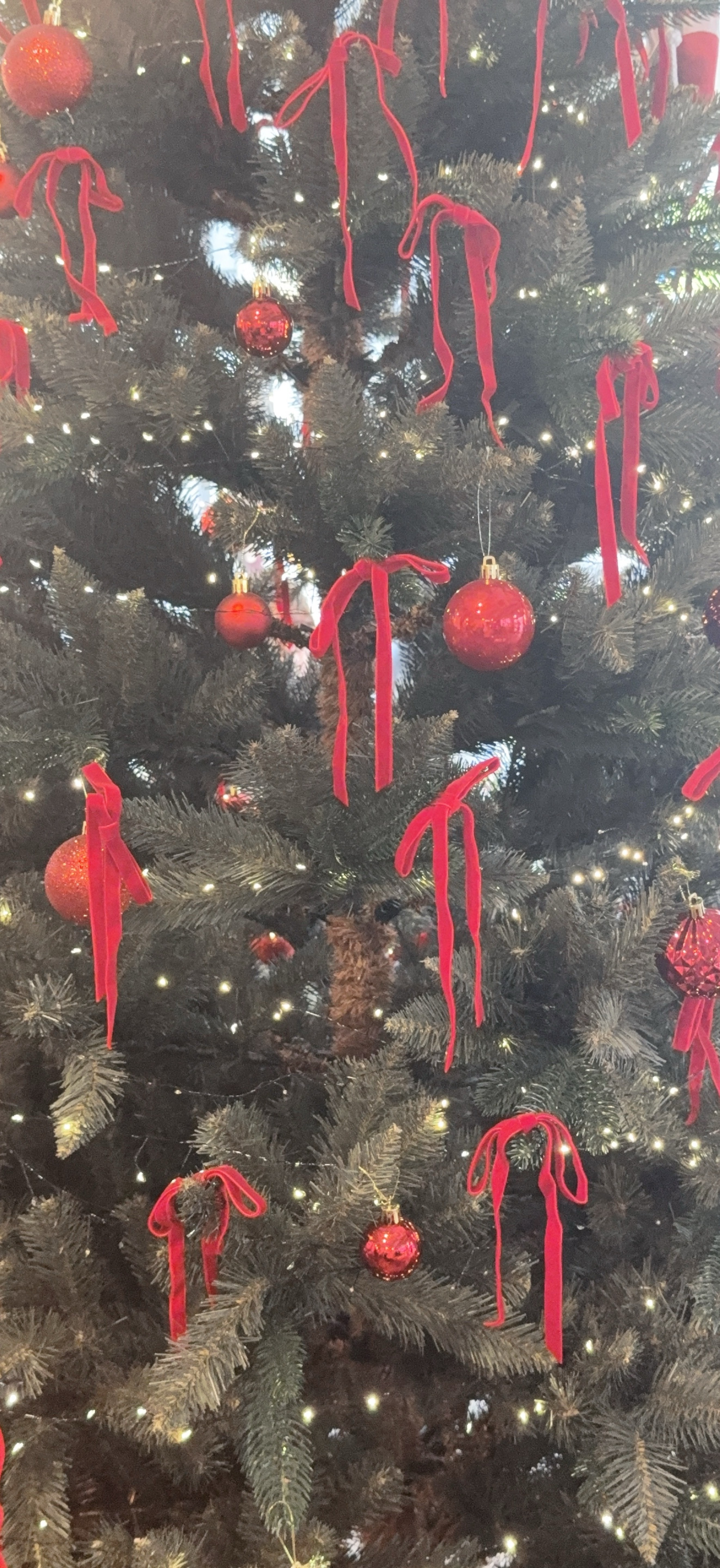 作業枠 潜〇 寝落ち〇