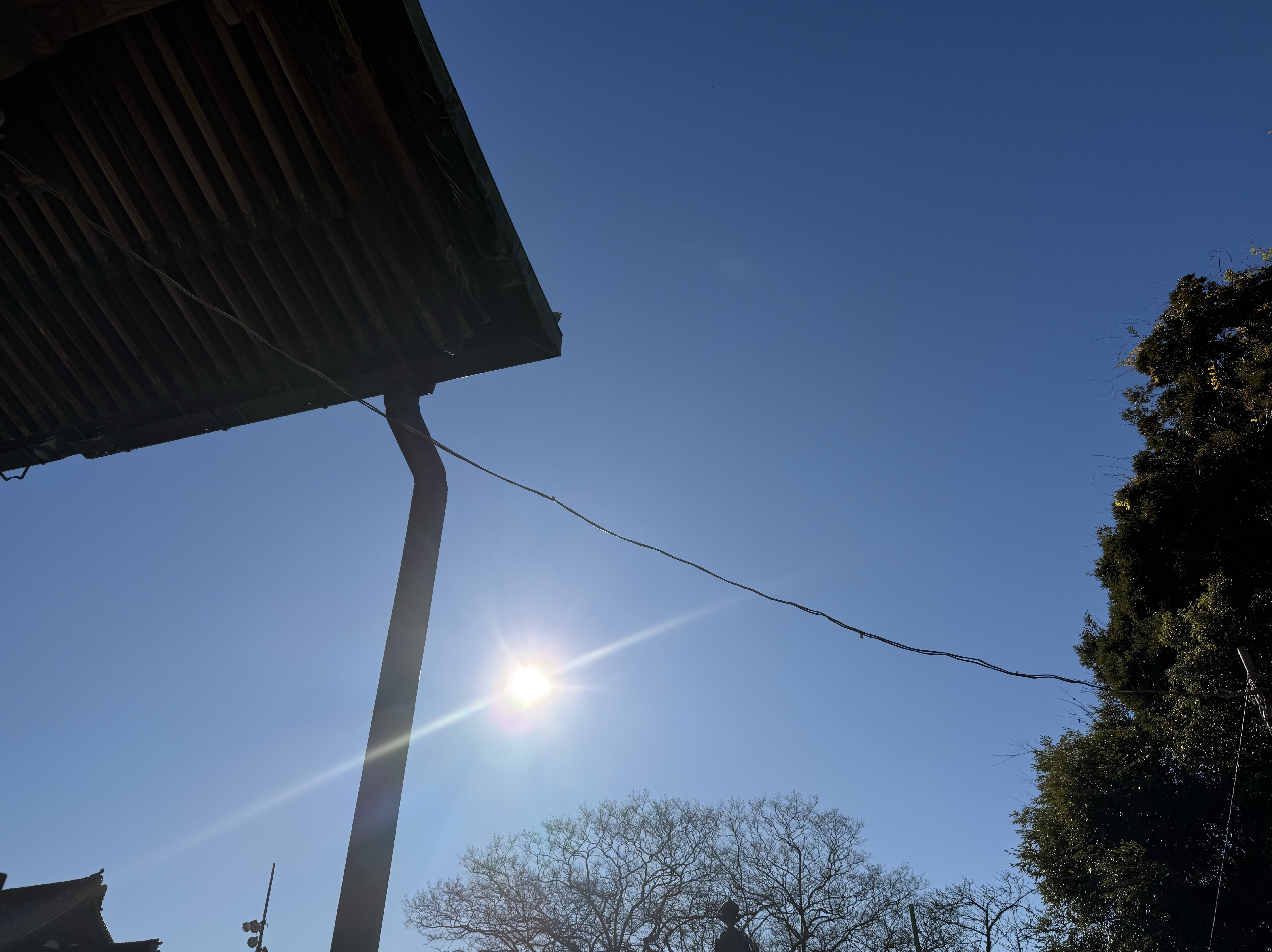 朝寺枠(」º дº)」ゴオォォォン