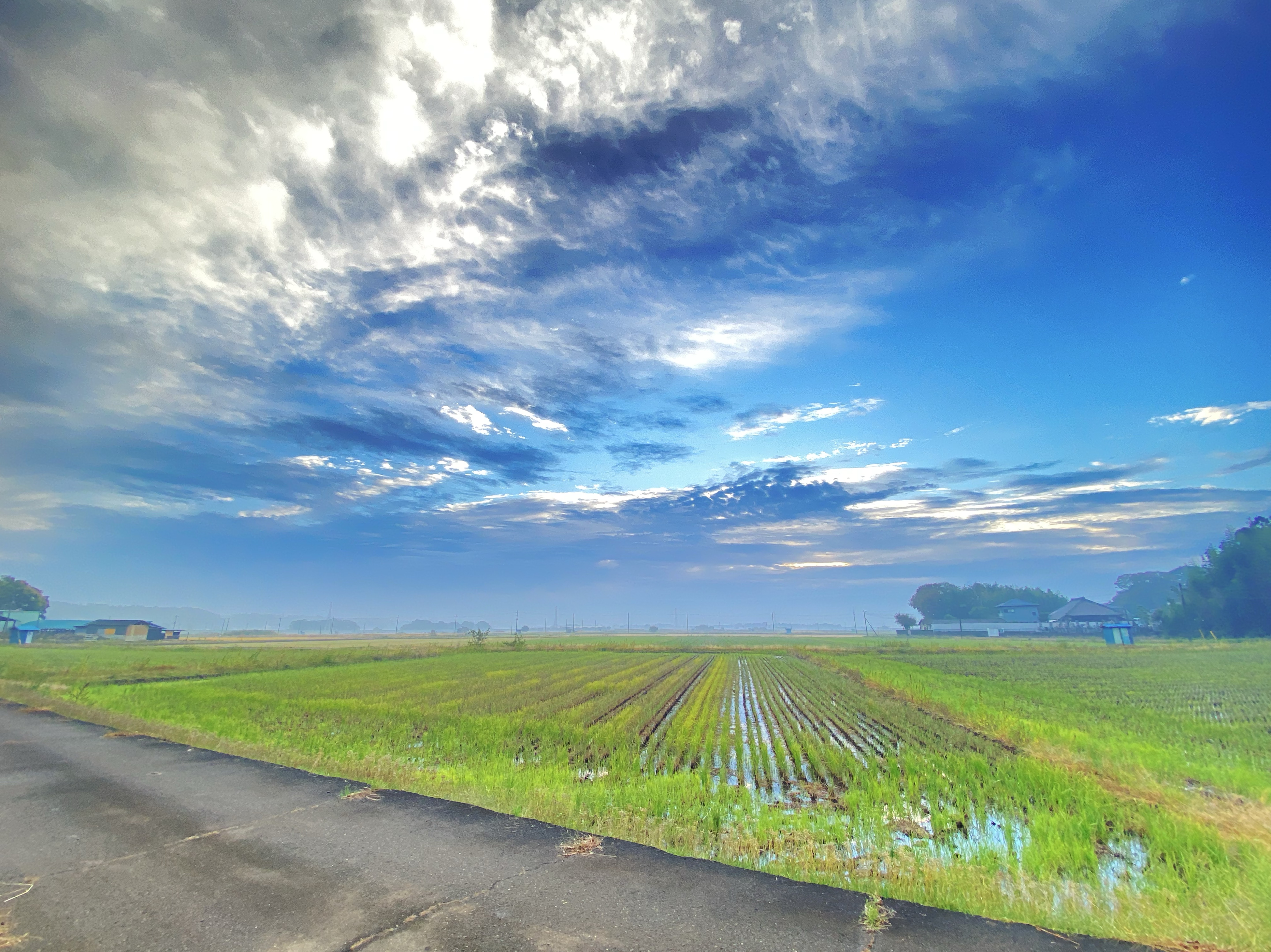 しゃべくりゲラ雑談!