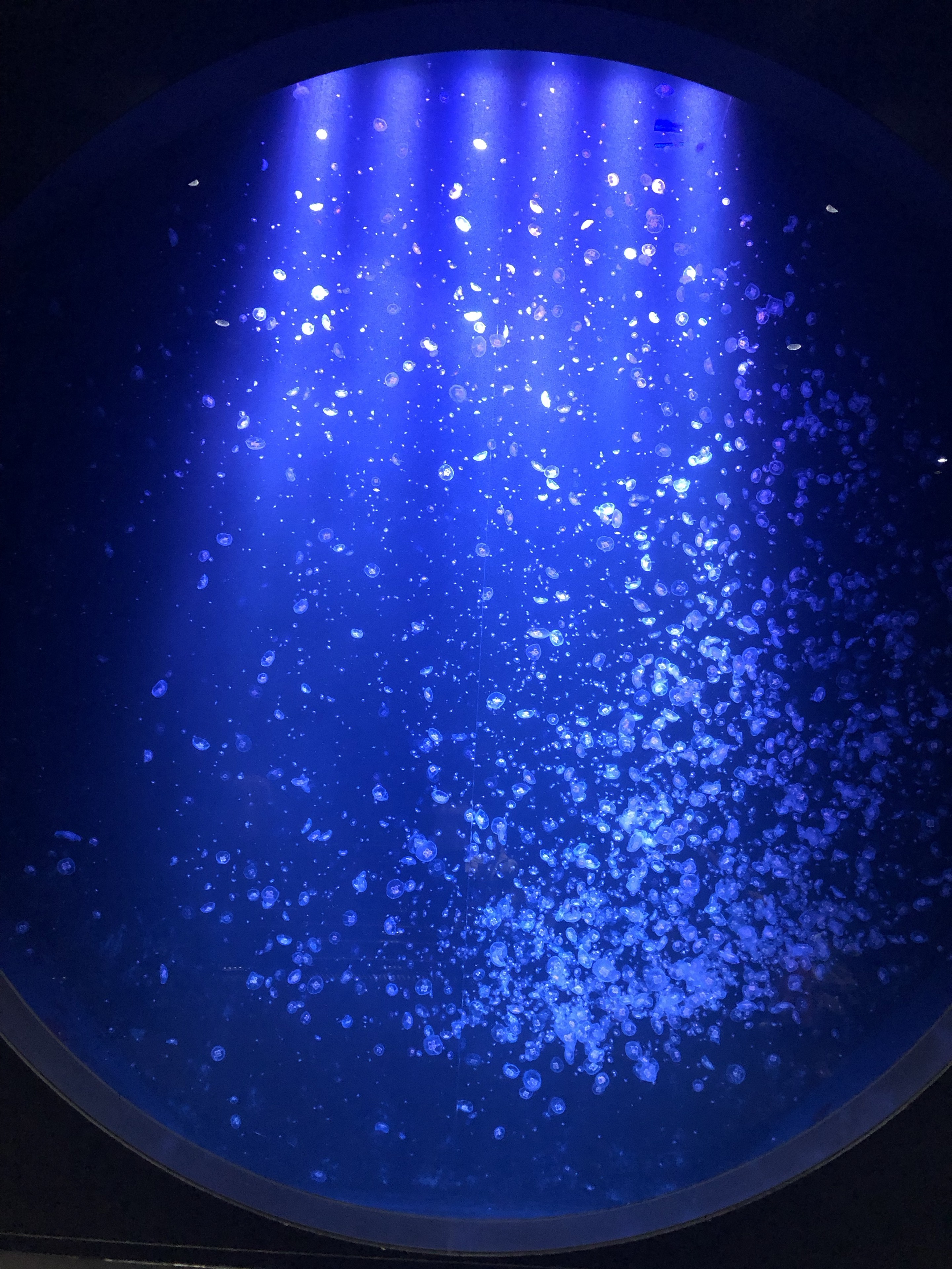 ちょっと話さない?