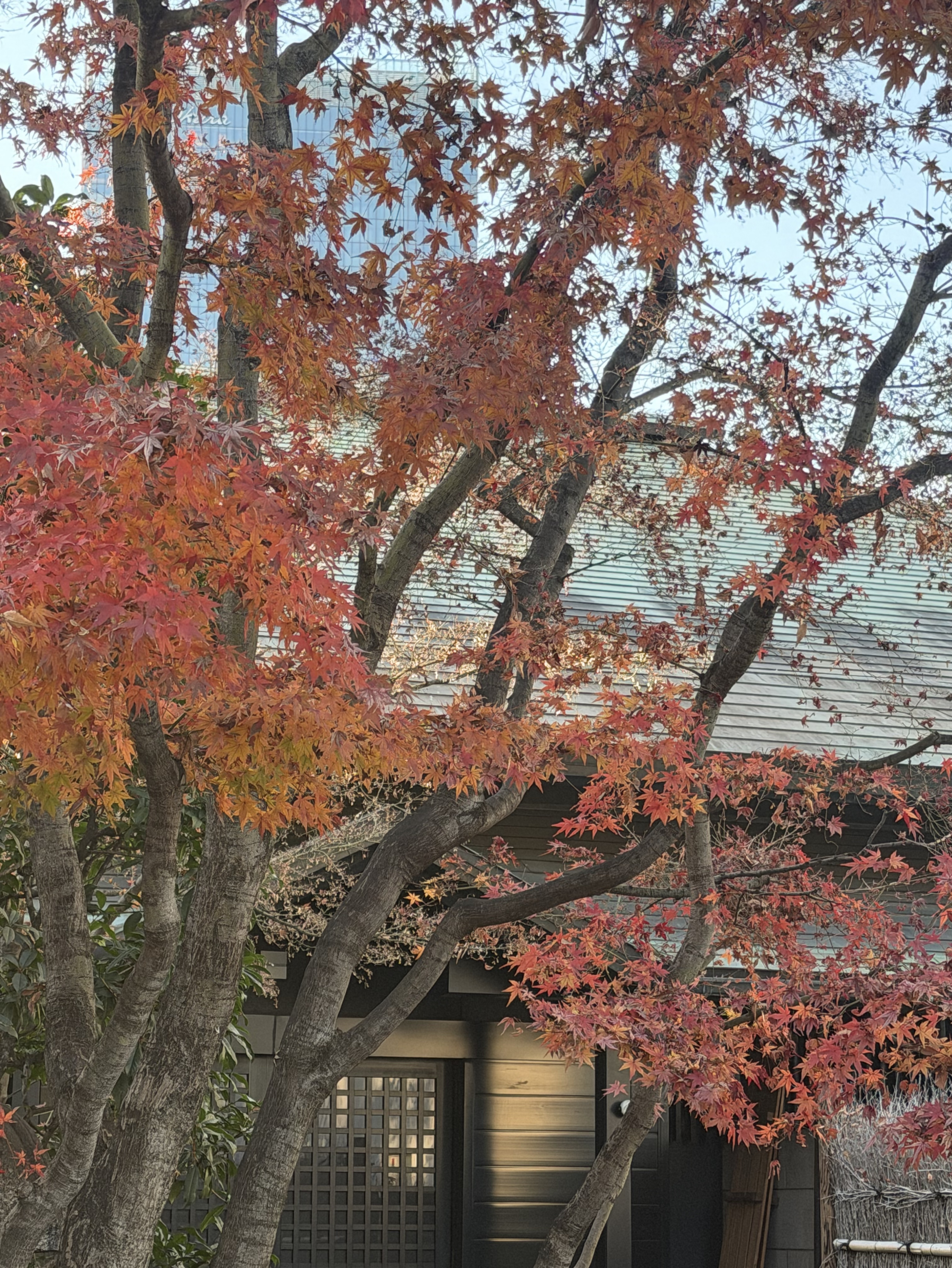 ハッピーなひとです🪄︎︎💫