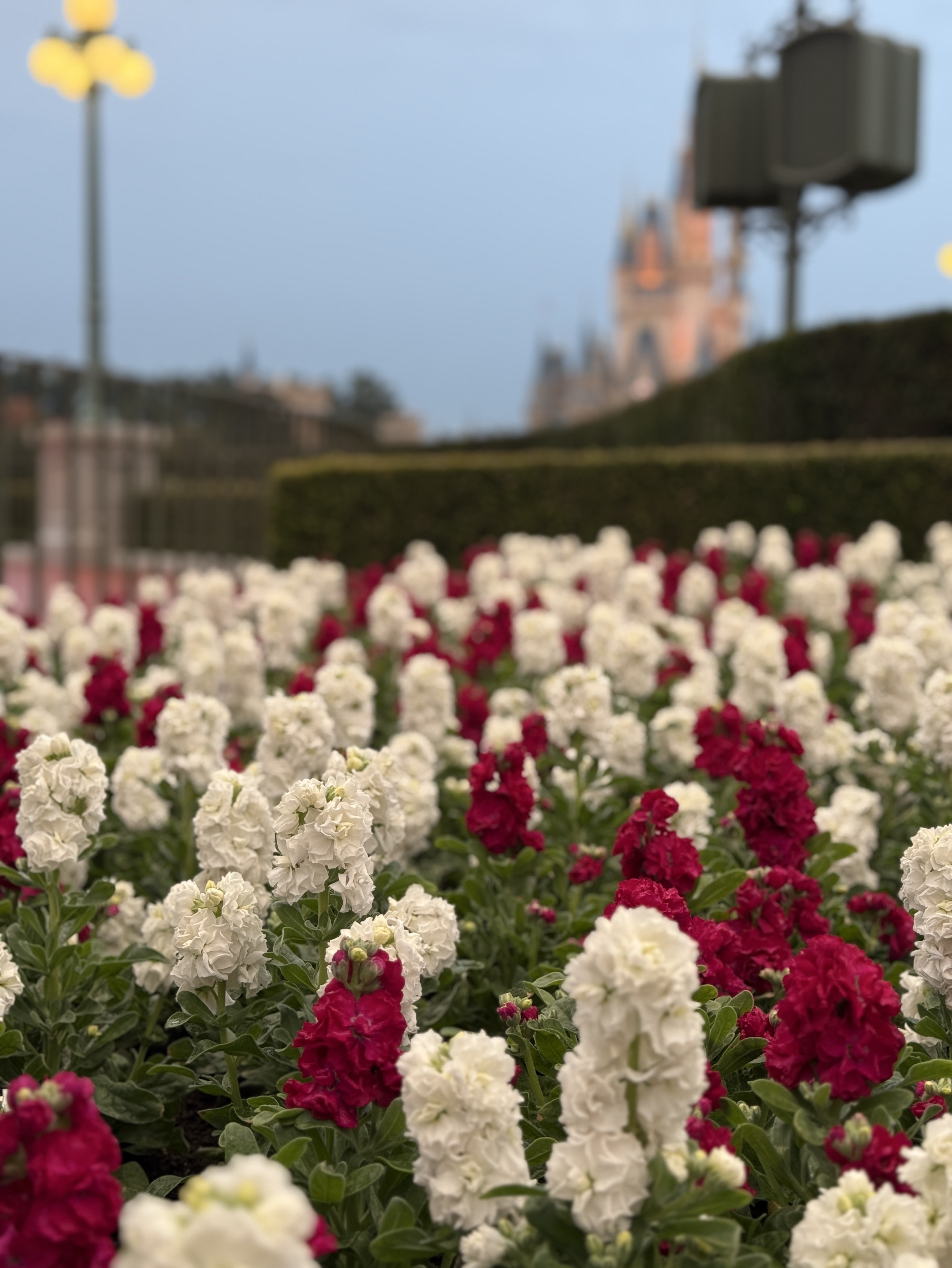 初潜寝◯おやすみ！