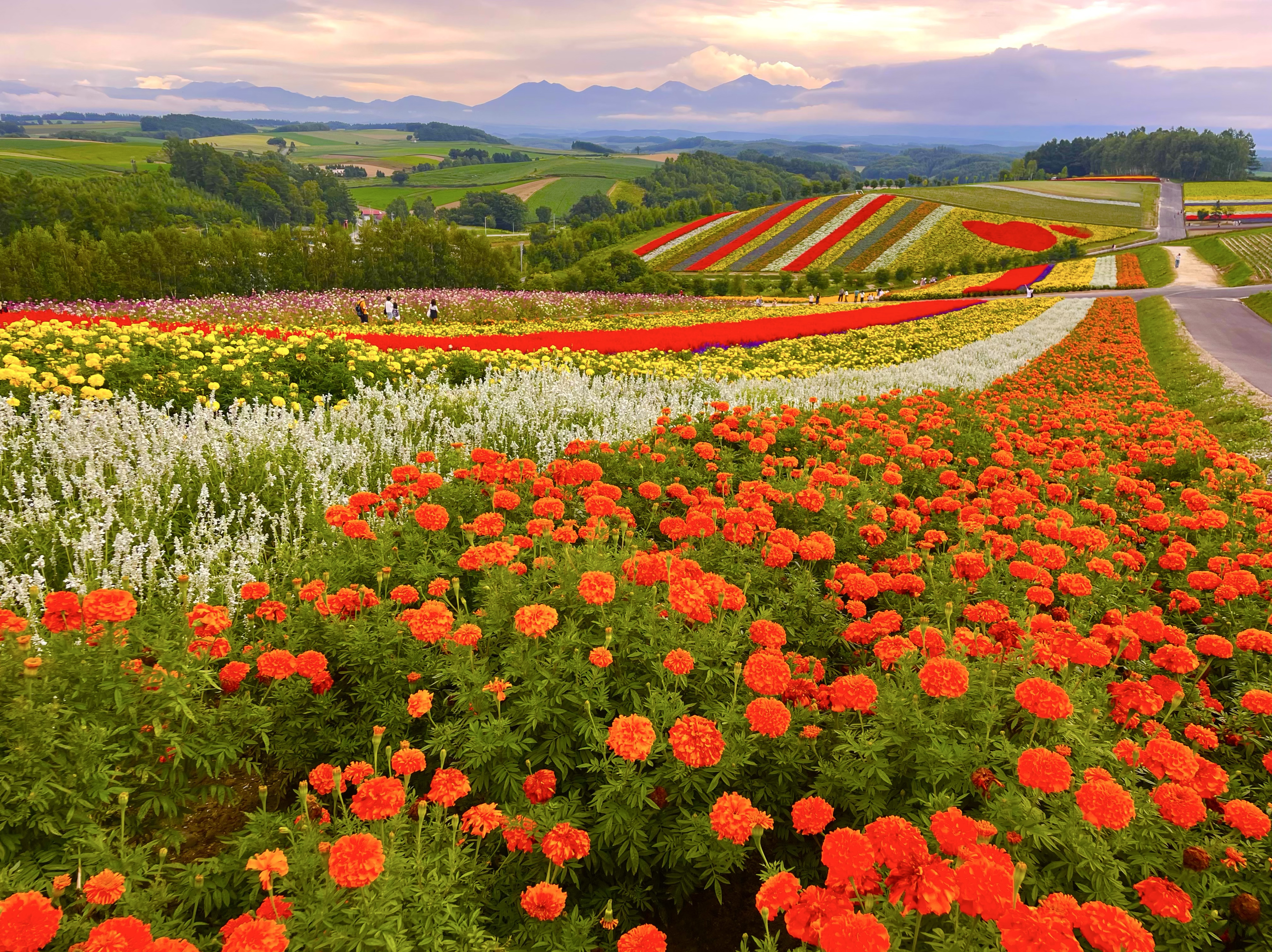 仕事しながら話す