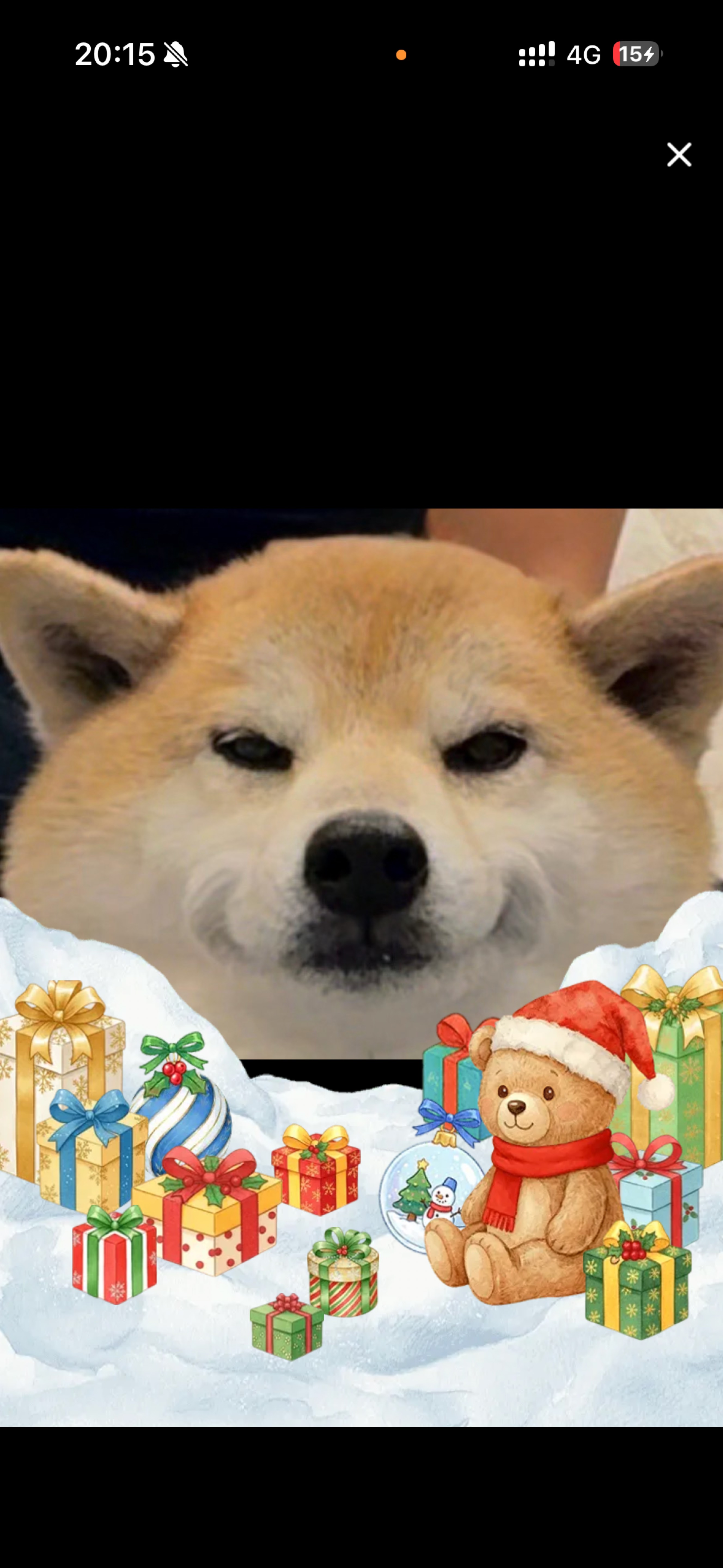 音質★★★★★