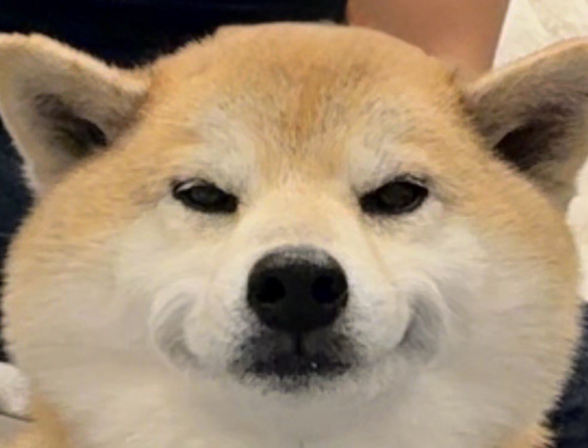 音質★★★★★