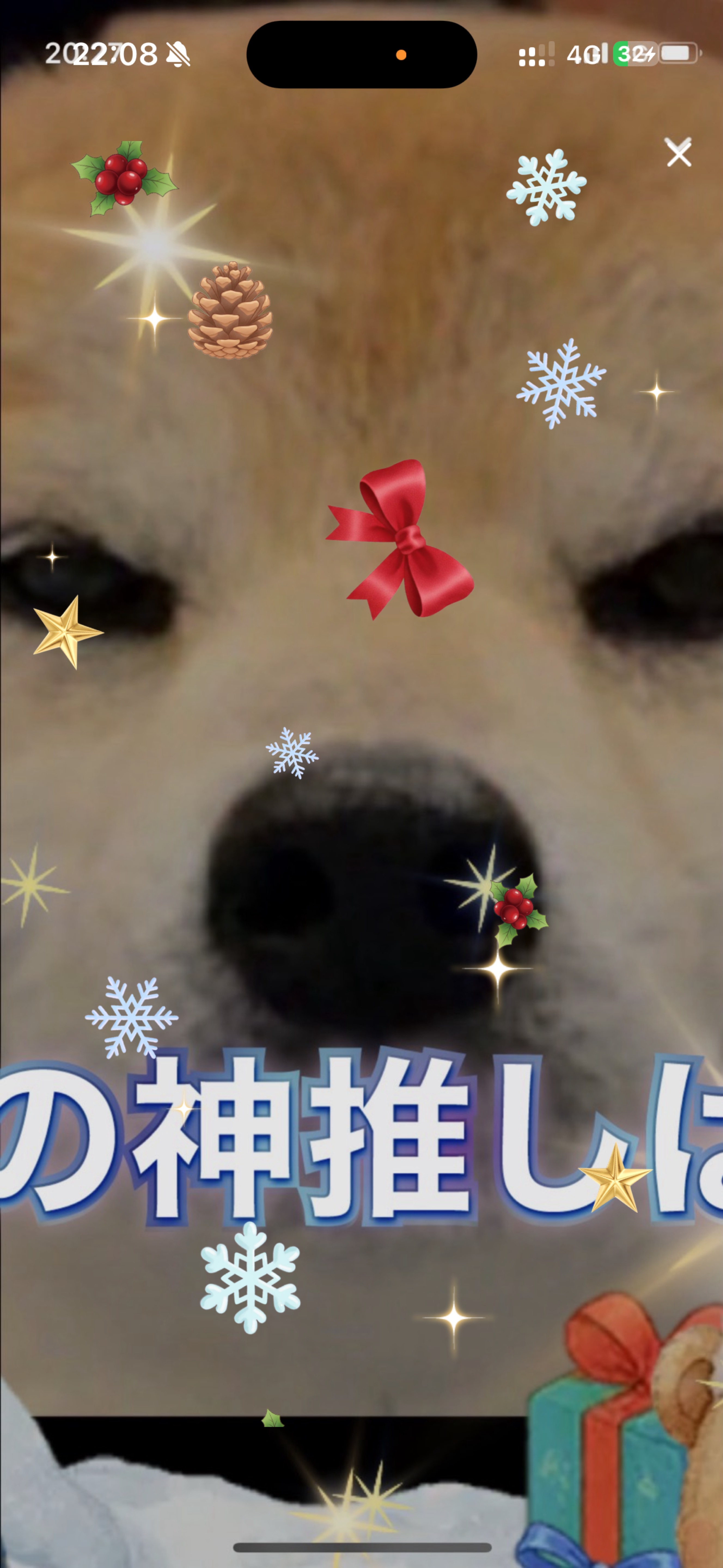 音質★★★★★