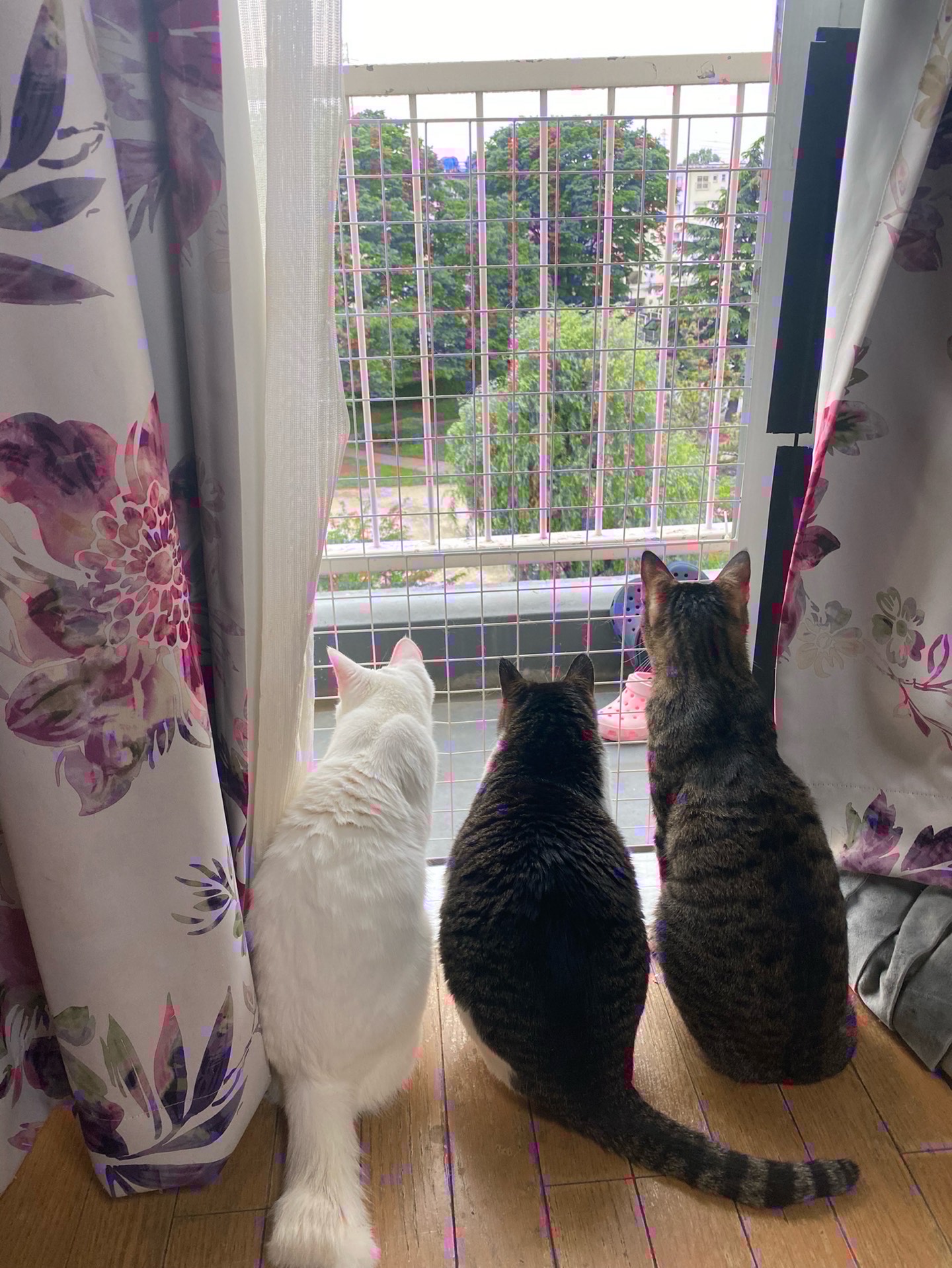 まったり飲み🍻🍺