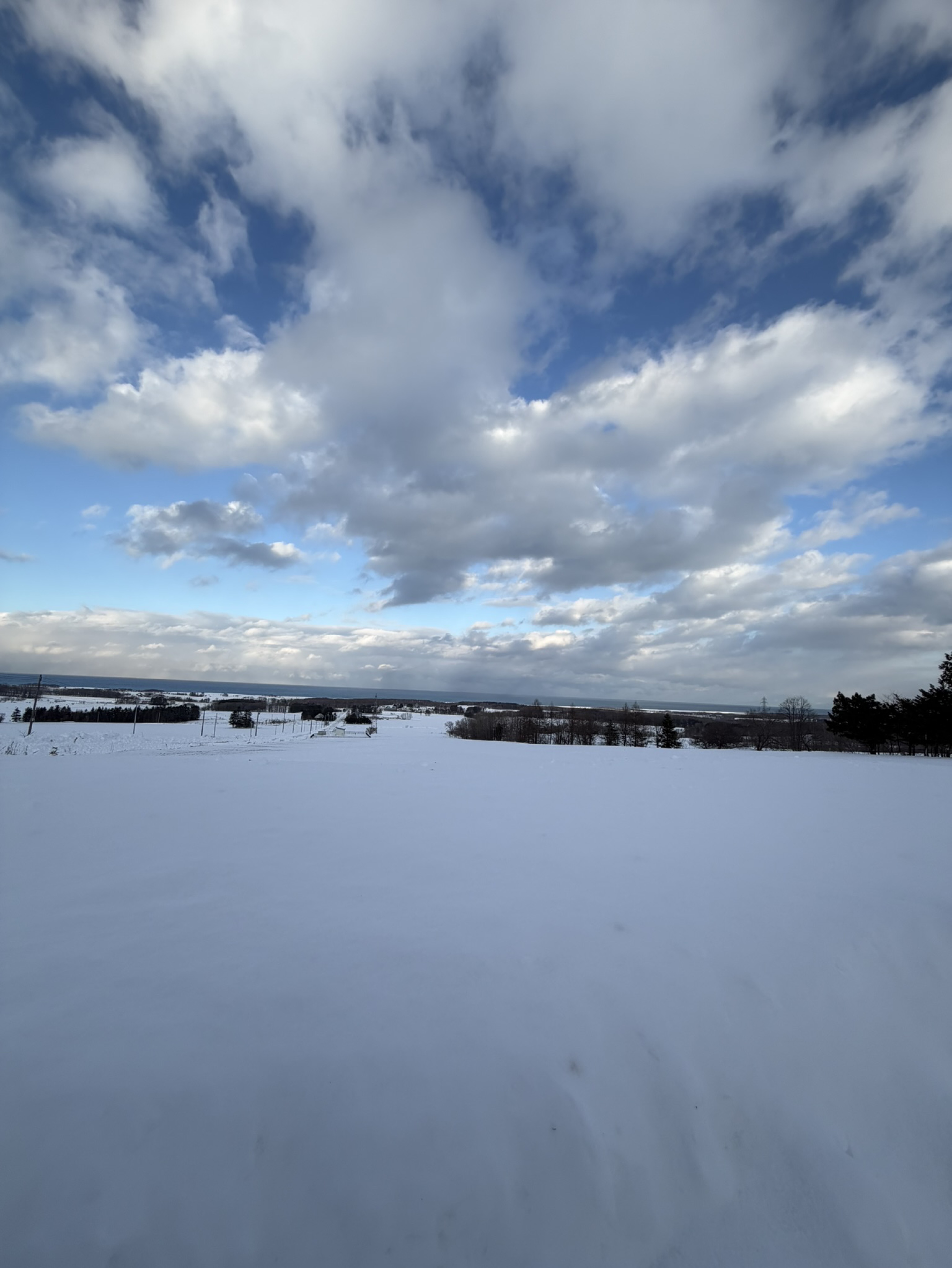 金曜日のタッチダウン
