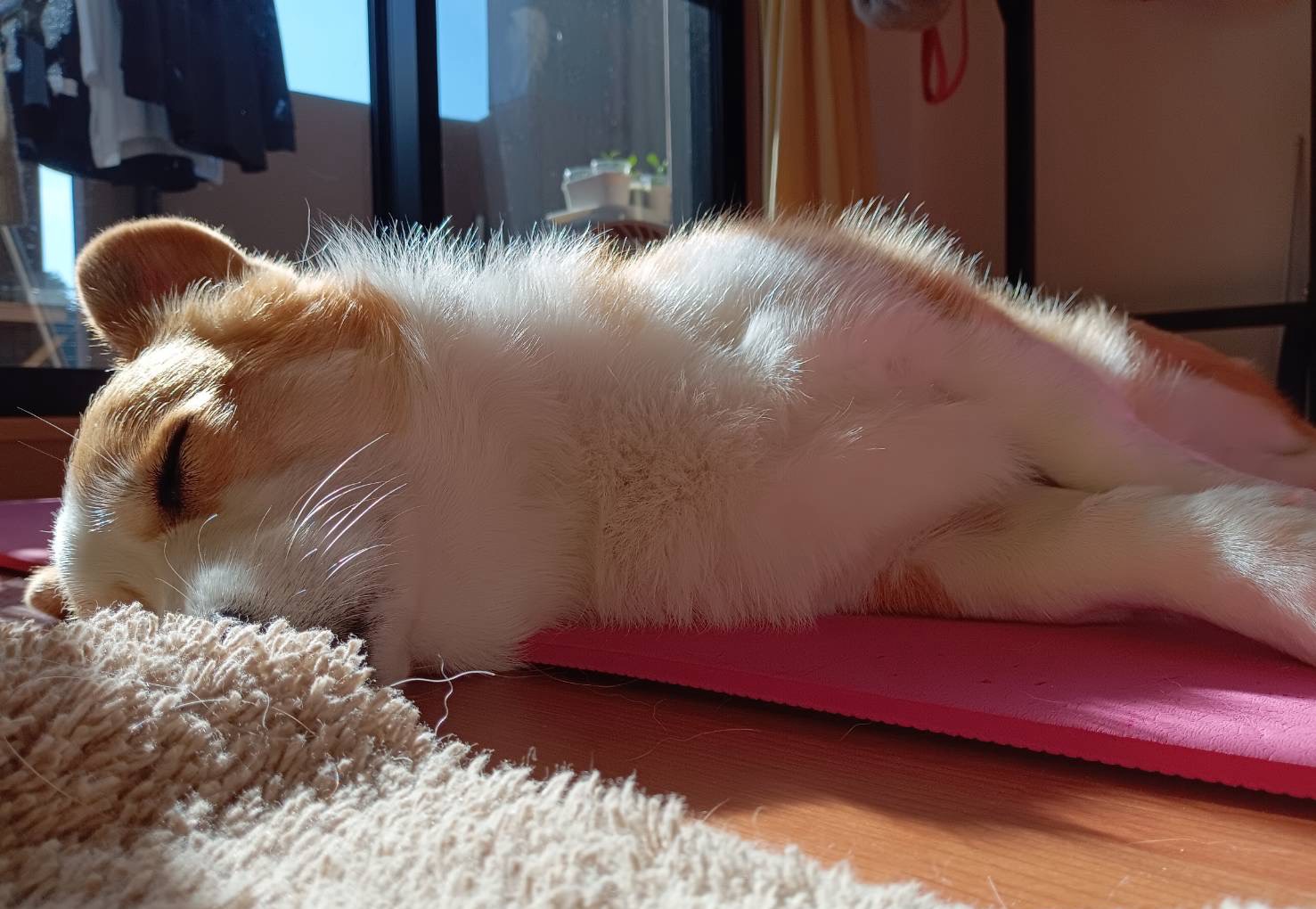 勉強しよういっしょに‬т т