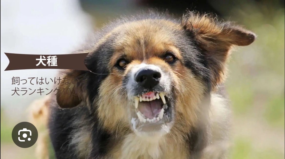 初見◎びばよくない？