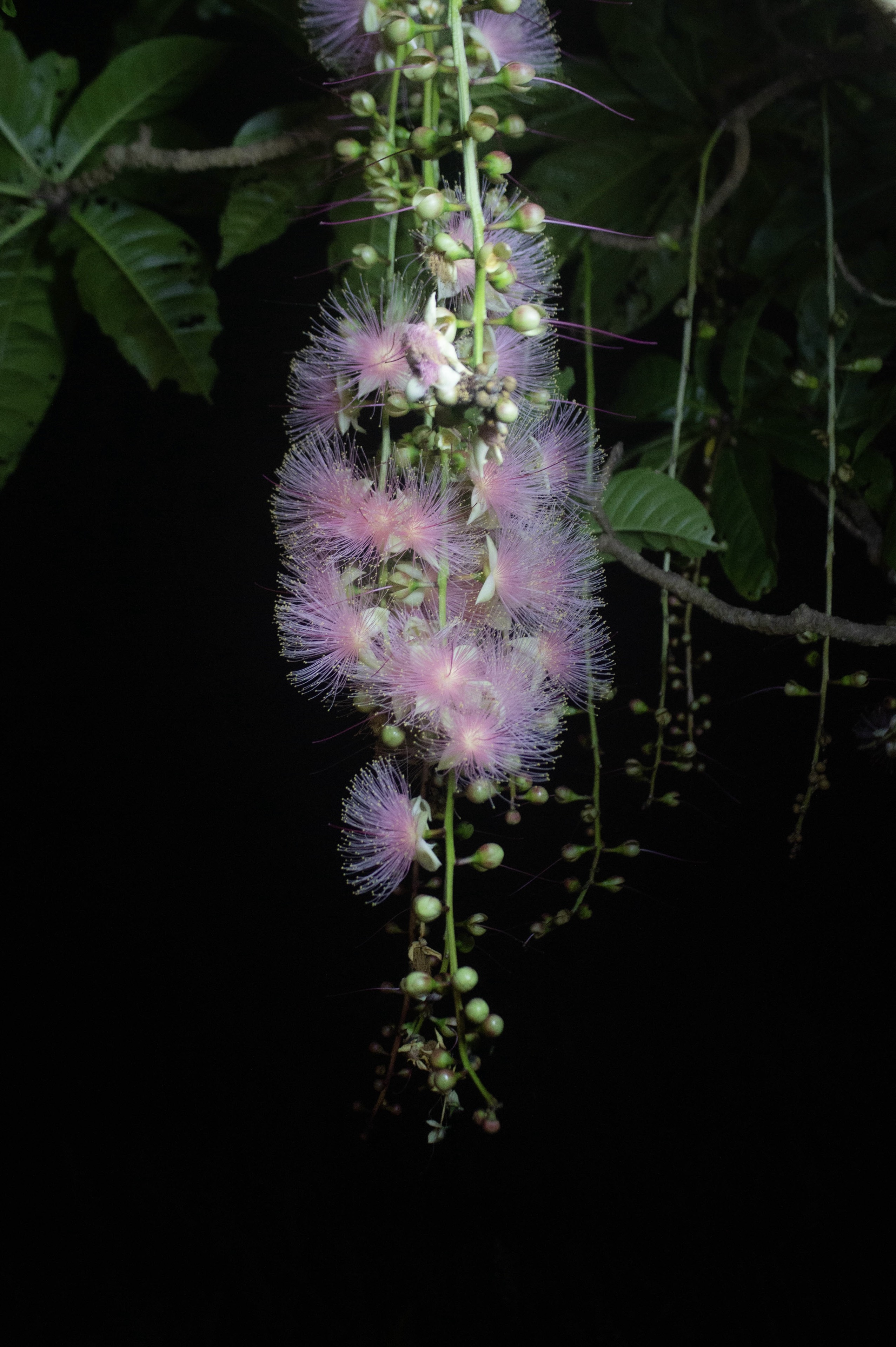 あまり楽しい話しではないです