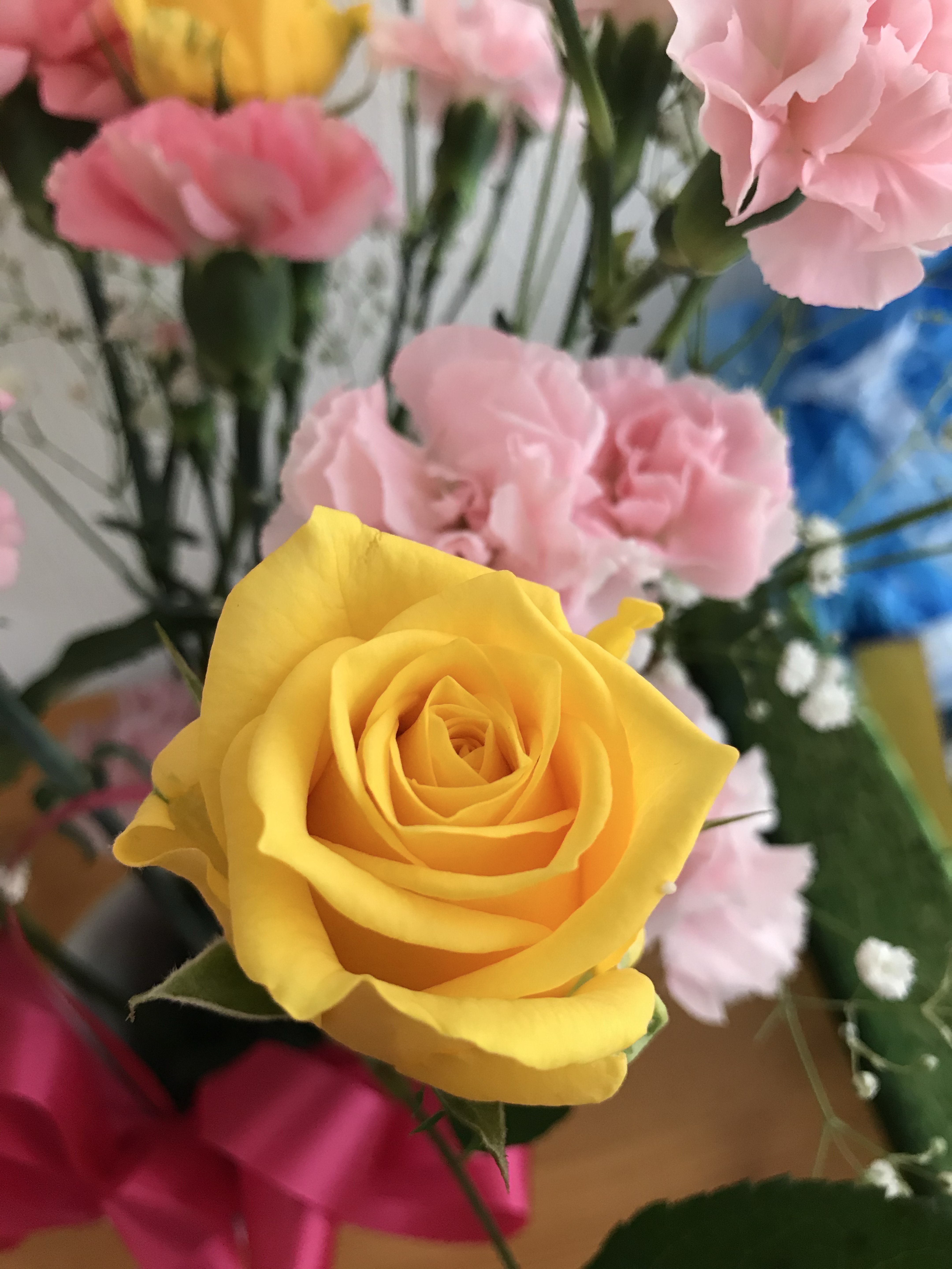 初見〇楽しければそれでよし！