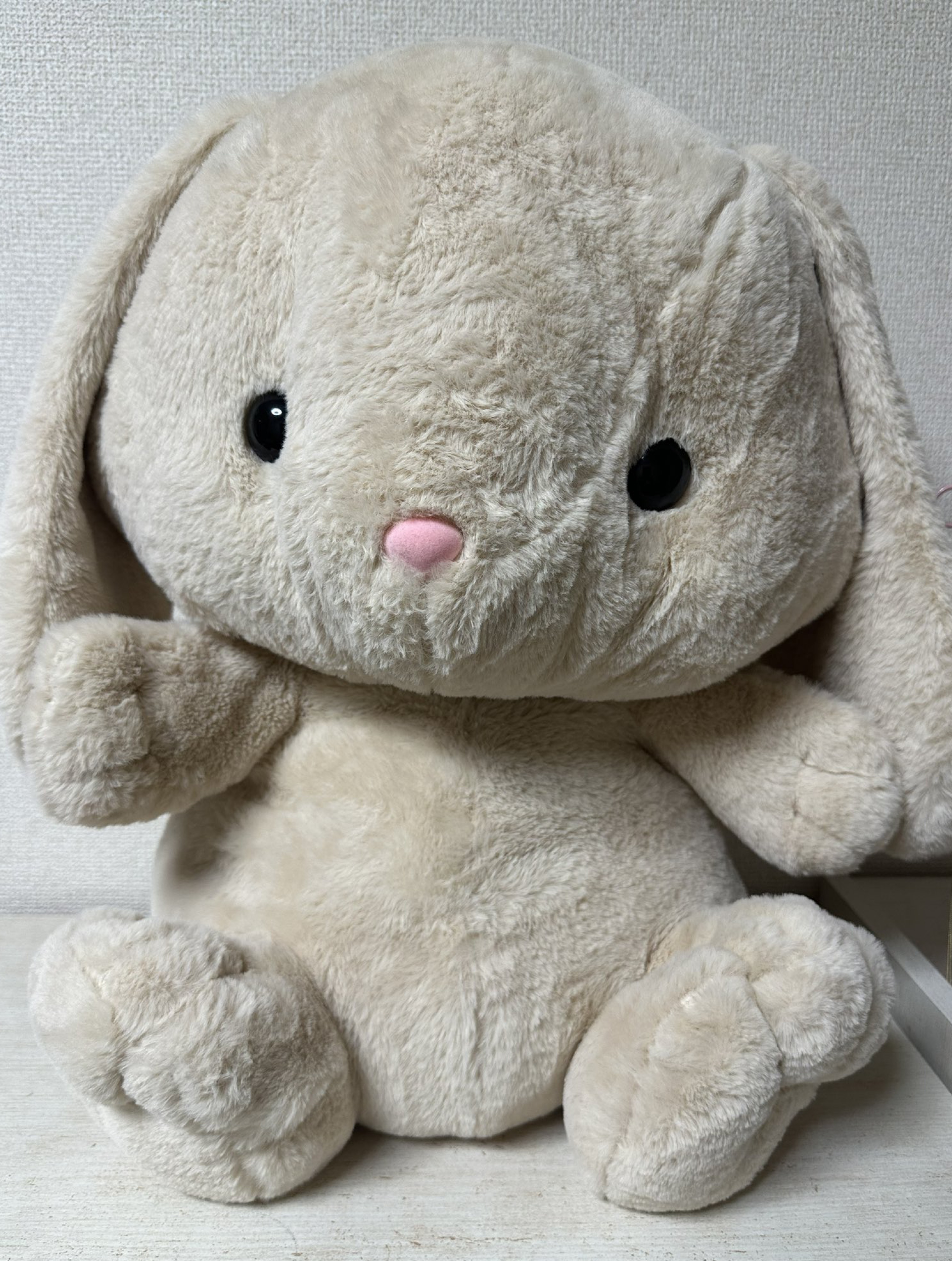 おつかれさまだよおお(,,. .,, )