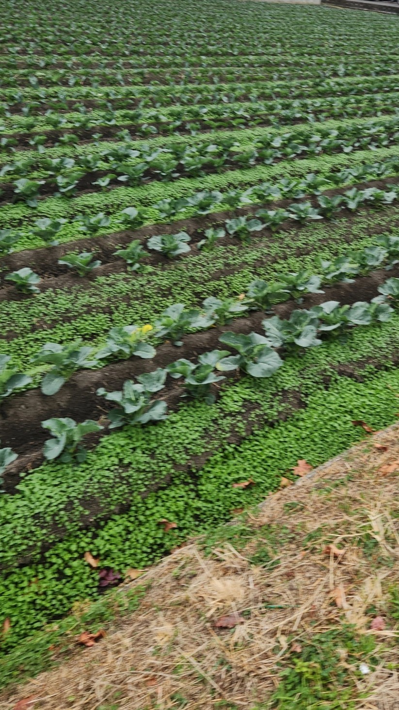 1時間くらい、仕事で疲れて死んでる