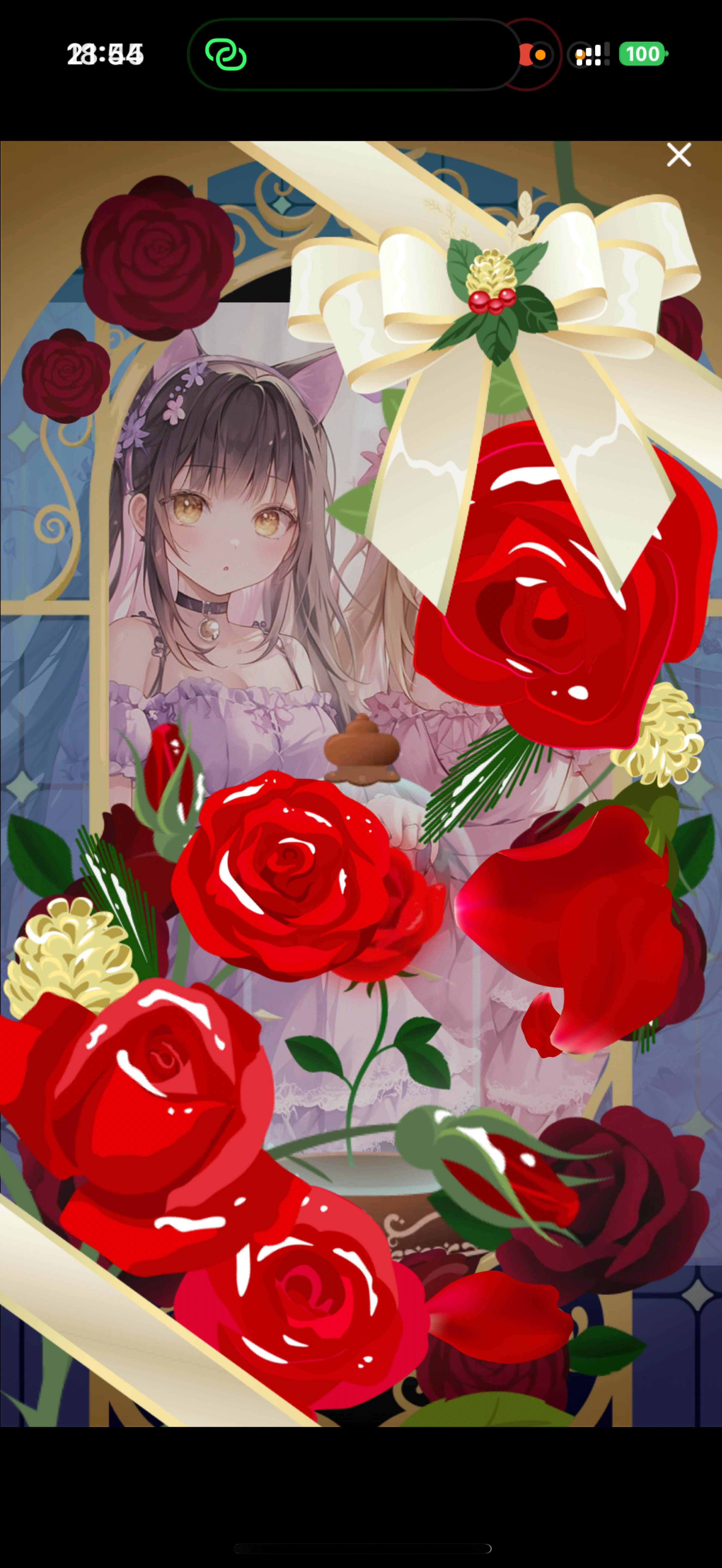 びすこの一周年記念枠だよ！みんなおいで！