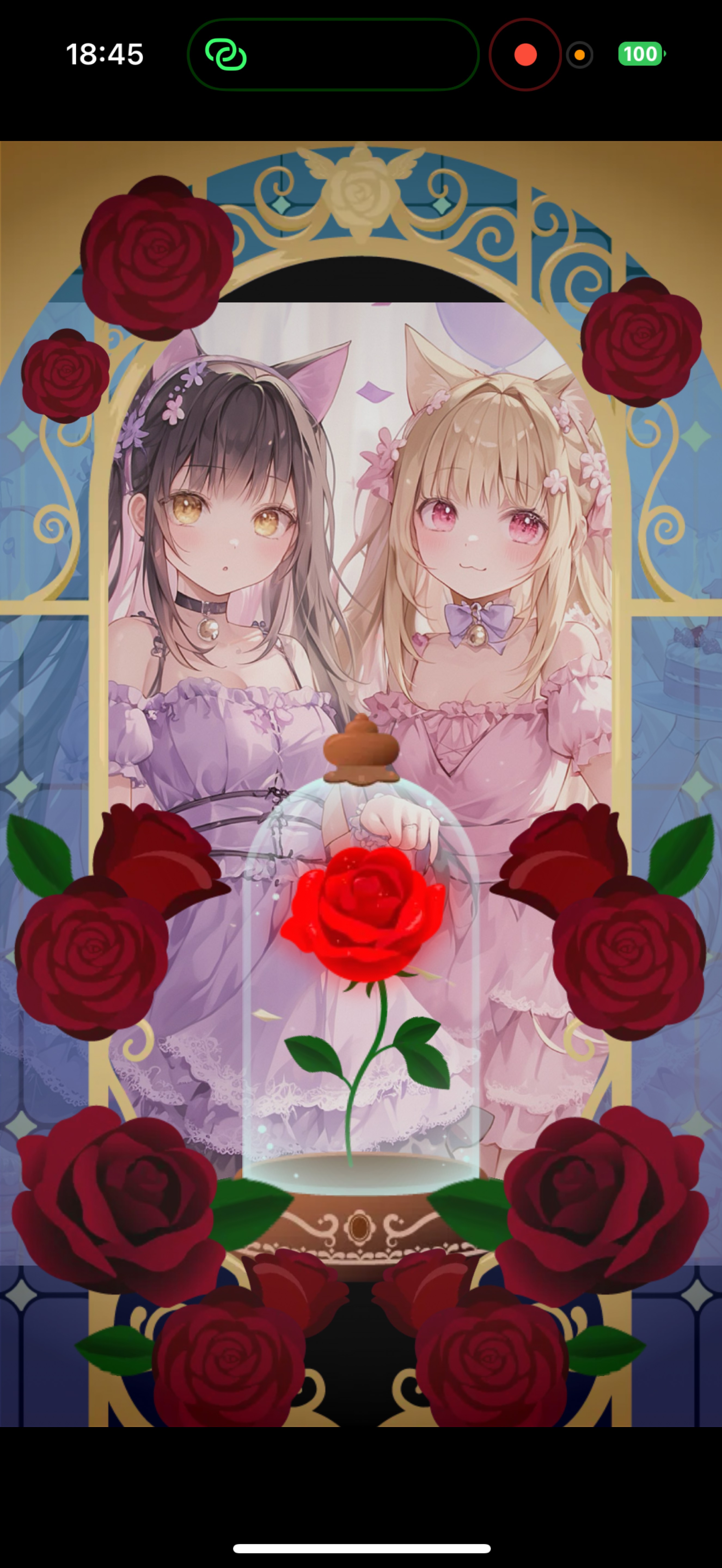 びすこの一周年記念枠だよ！みんなおいで！