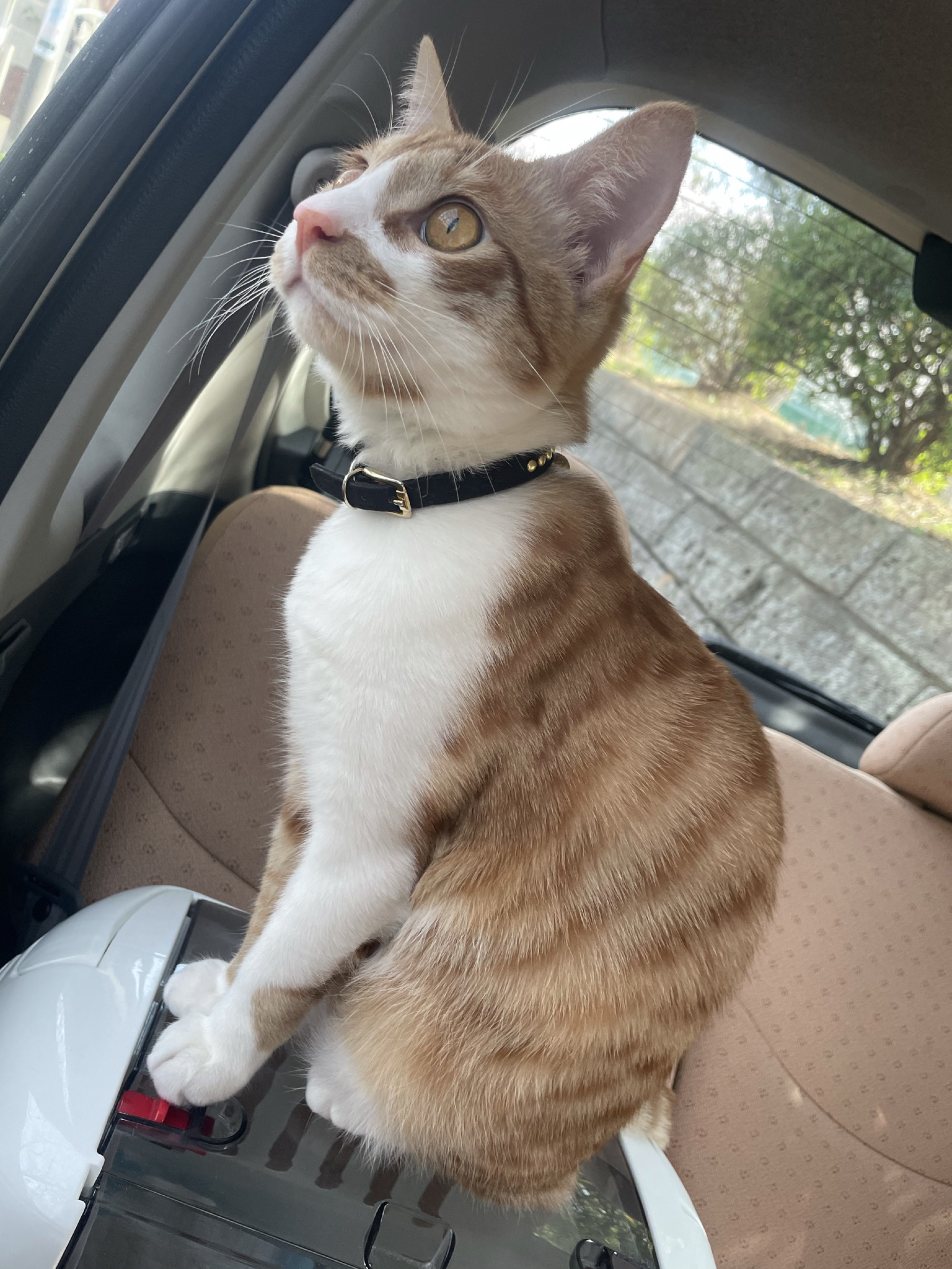 ぬぬ！初見さんFUNさんお話しよ！