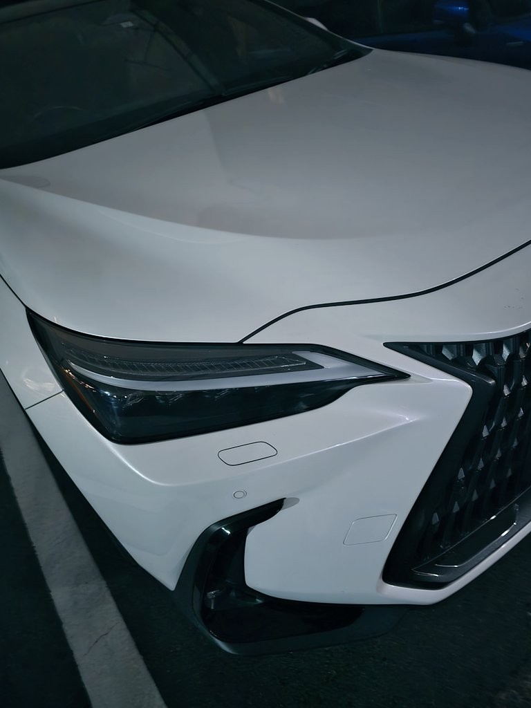 🔰 もちおと雑談。 少しだけ