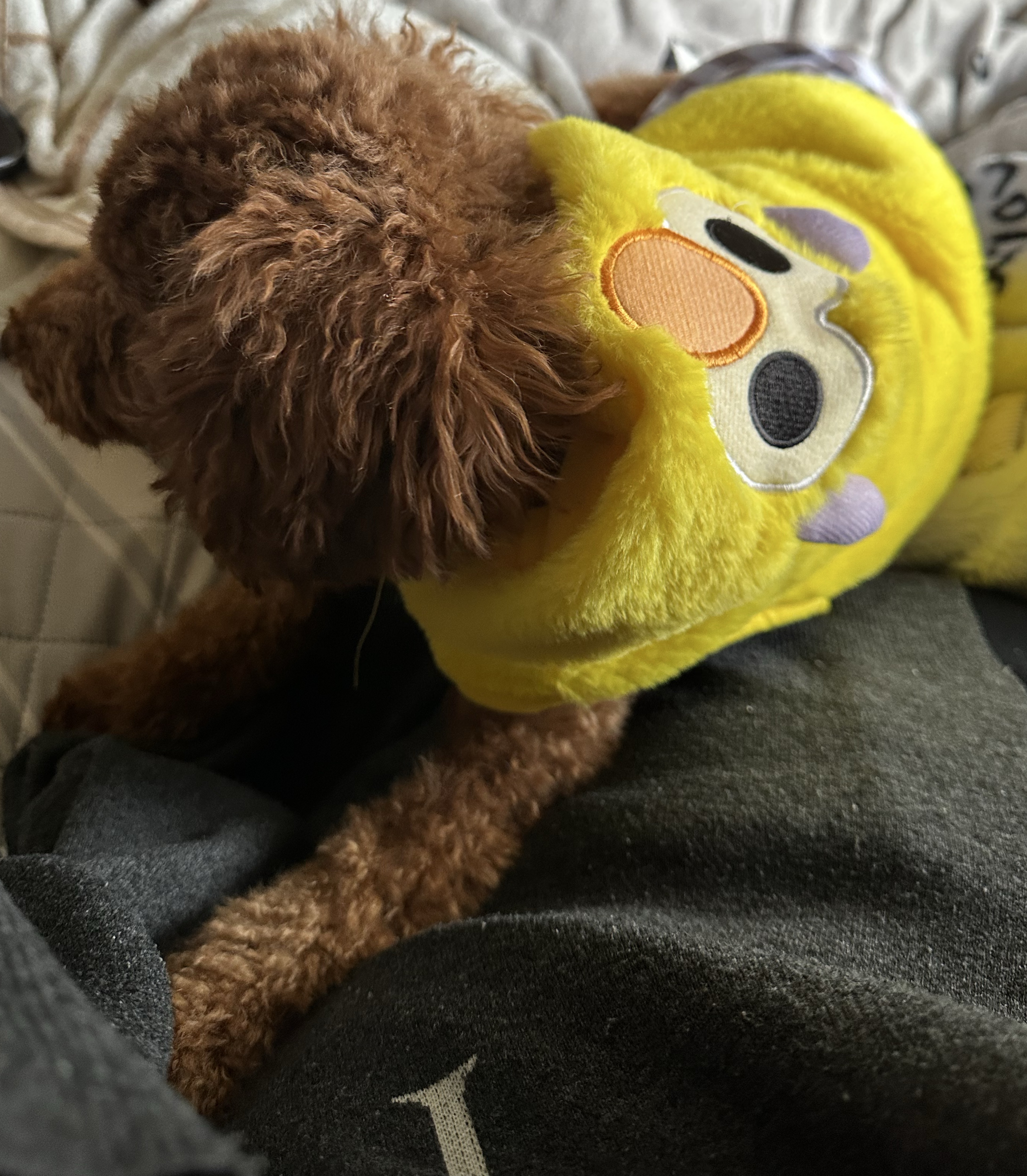 コラボ枠ーのんびりー時々ゲームしてるかも