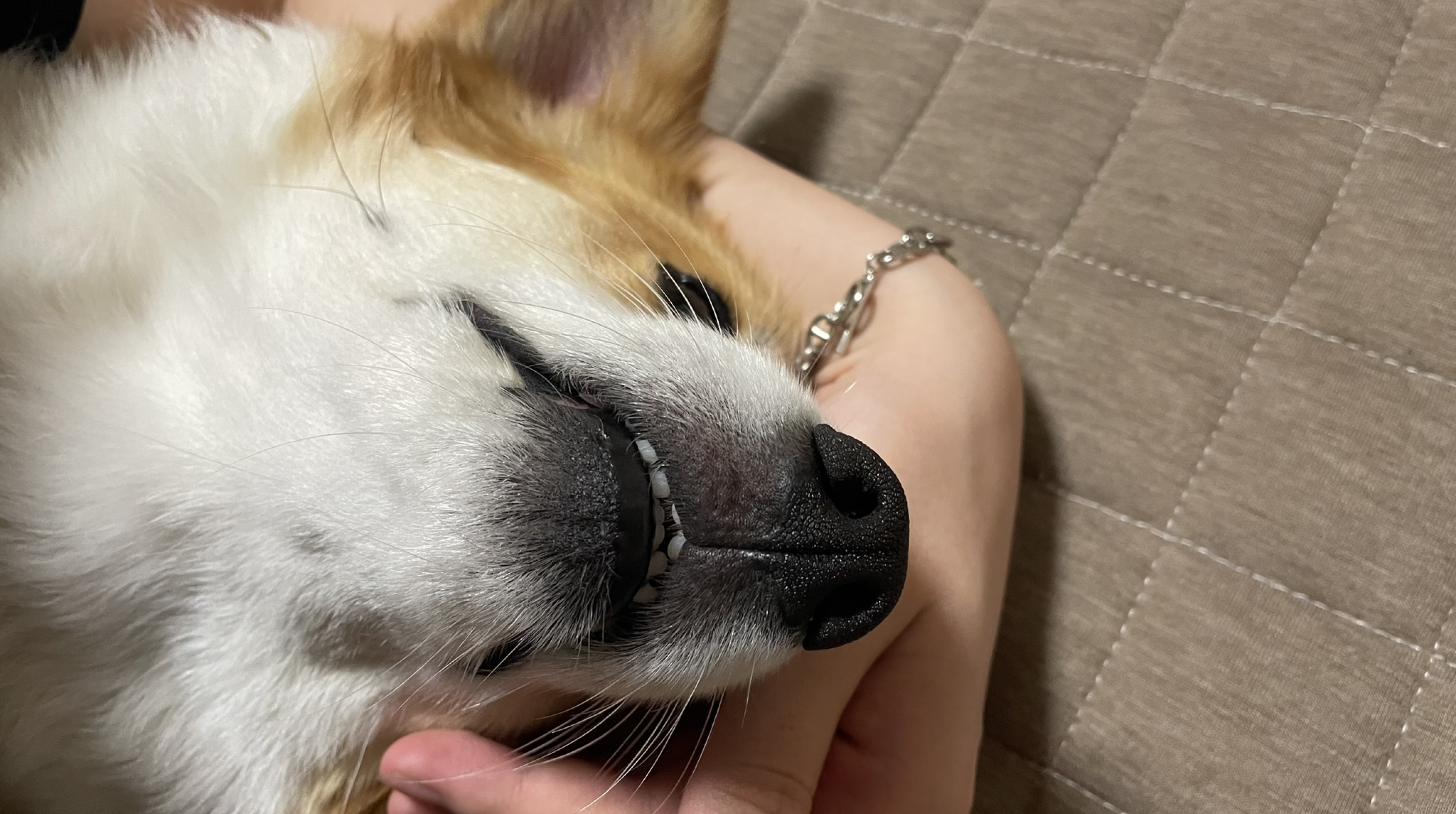 ちょーっとだけぎたーれんしゅー