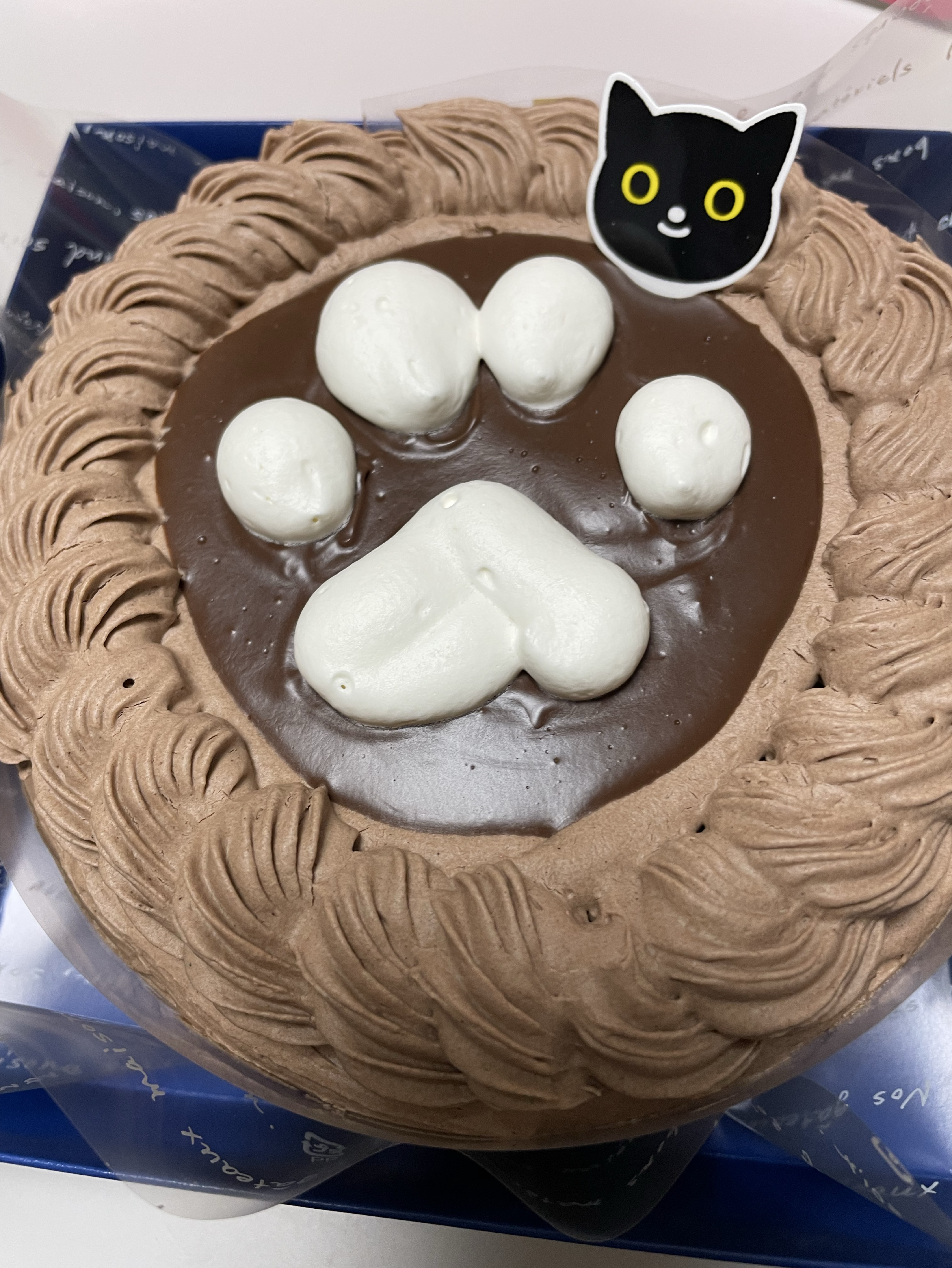 12/22🌙こんばんはなの！