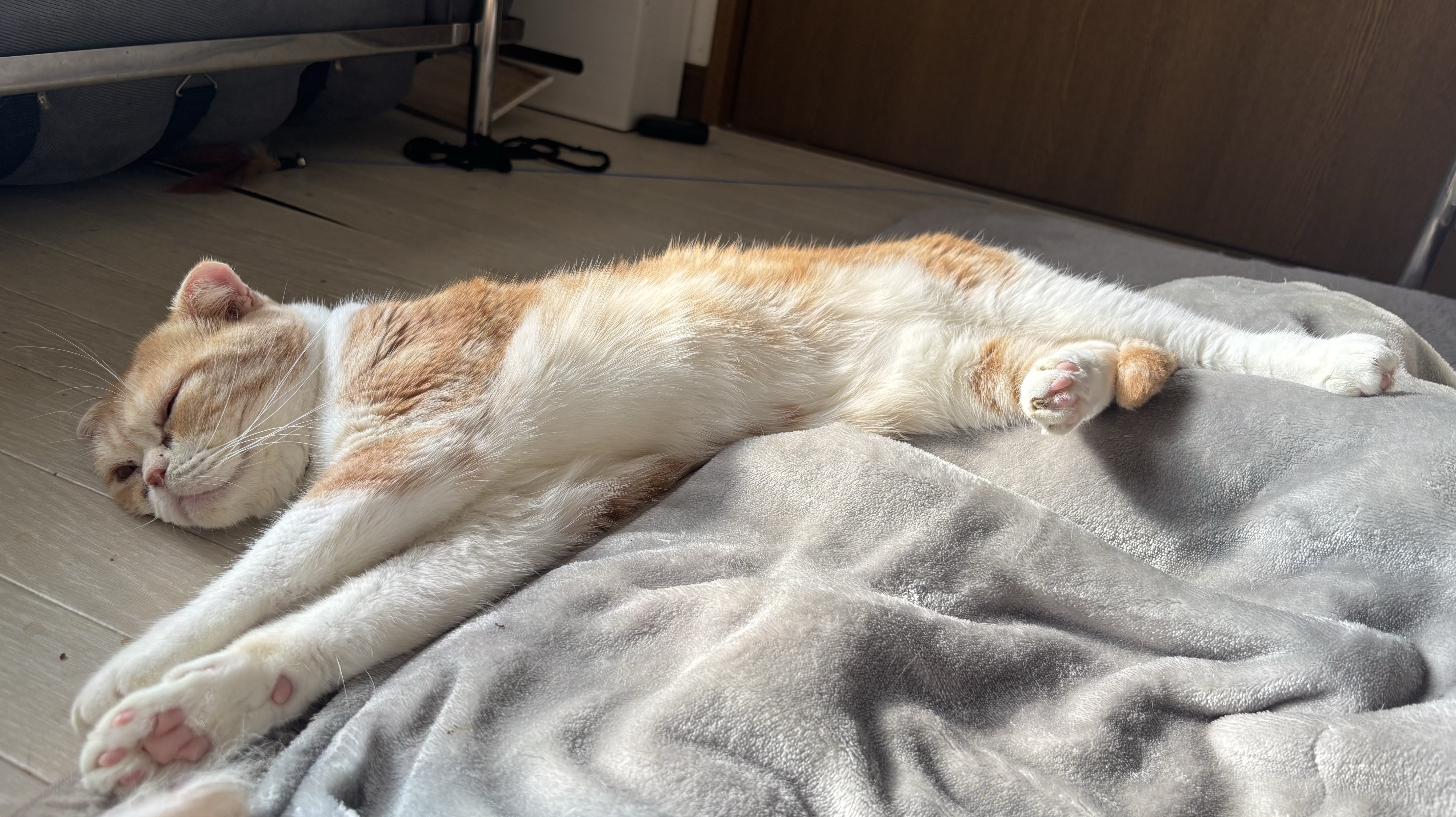 Day18 初潜 僕のこと推してみやん？