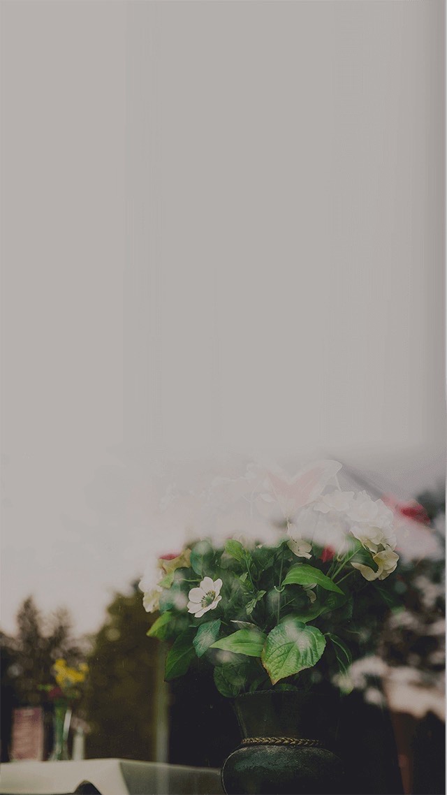 中年の憩いの場🍵